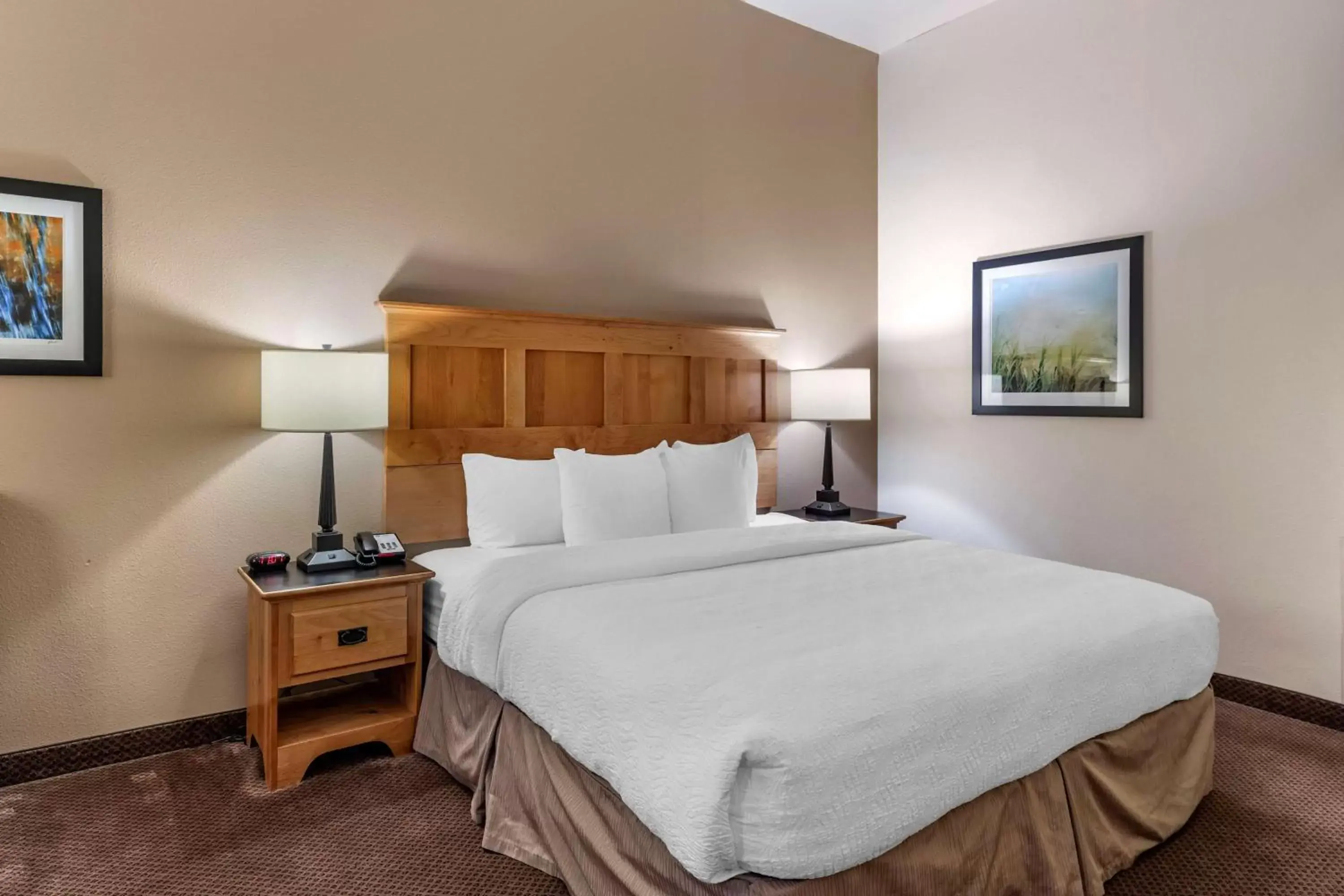 Bed in Best Western Brighton Inn Bed in Best Western Brighton Inn