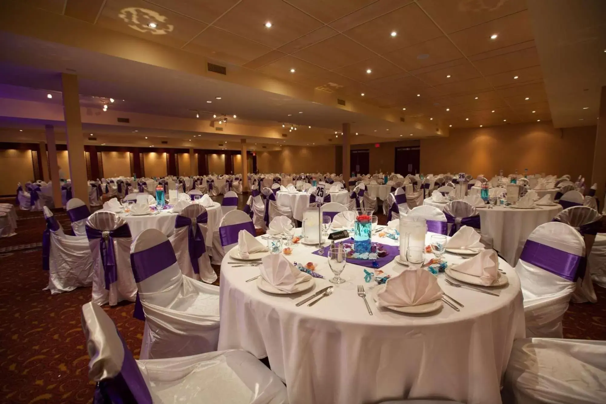 On site, Banquet Facilities in Radisson Hotel & Convention Center Edmonton