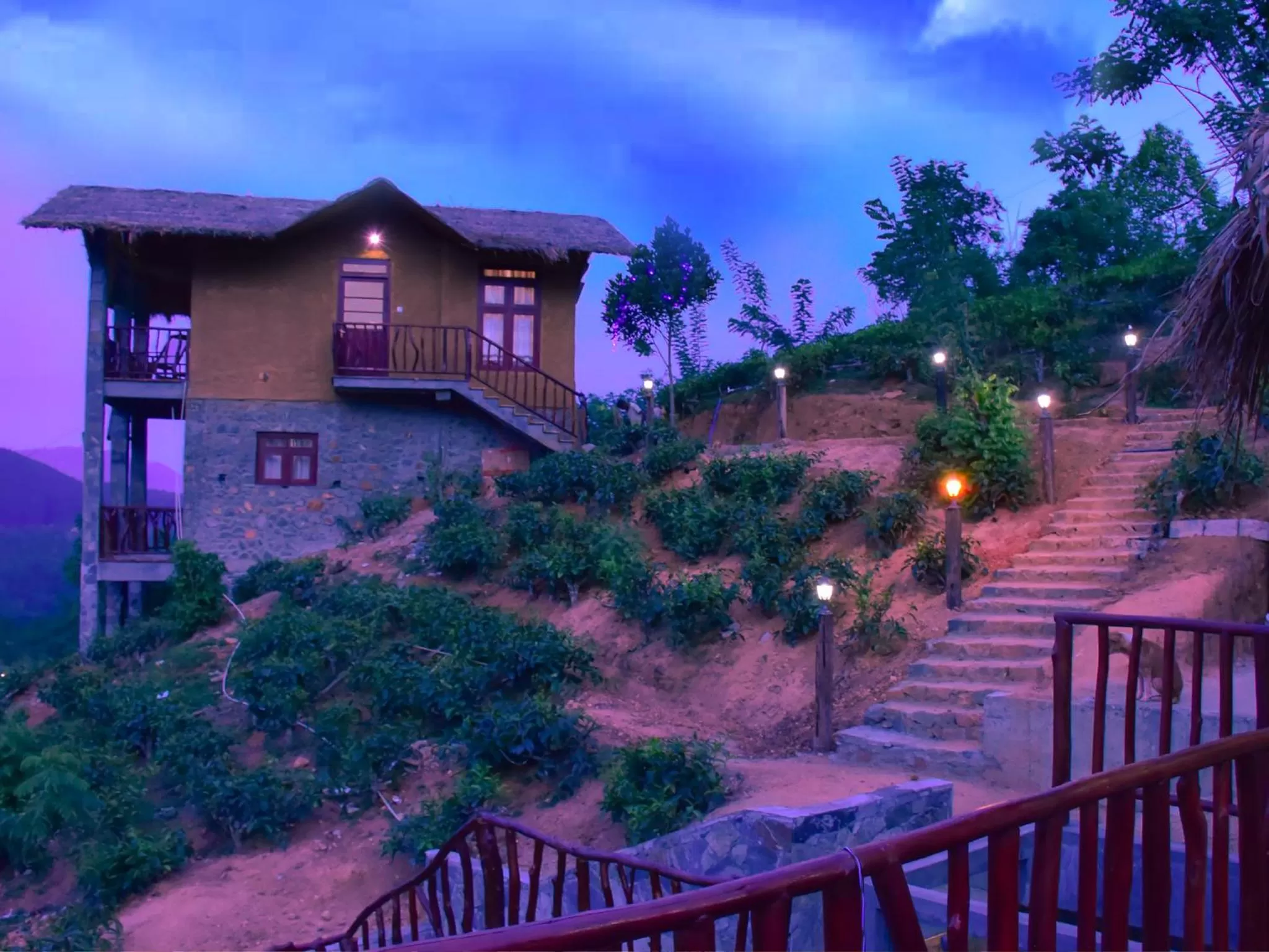 Garden in Ornateview Hotel