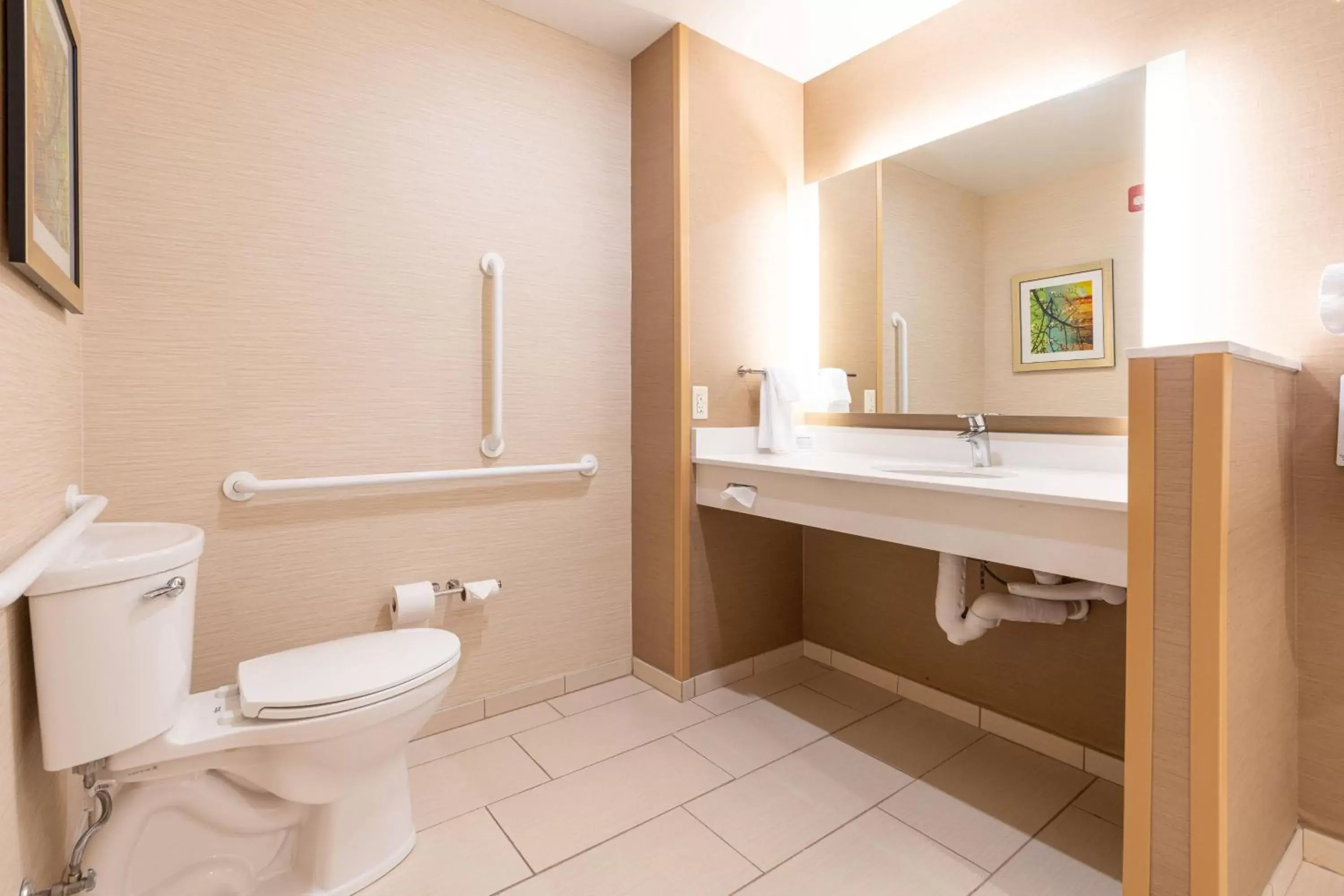 Bathroom in Fairfield Inn & Suites By Marriott Somerset