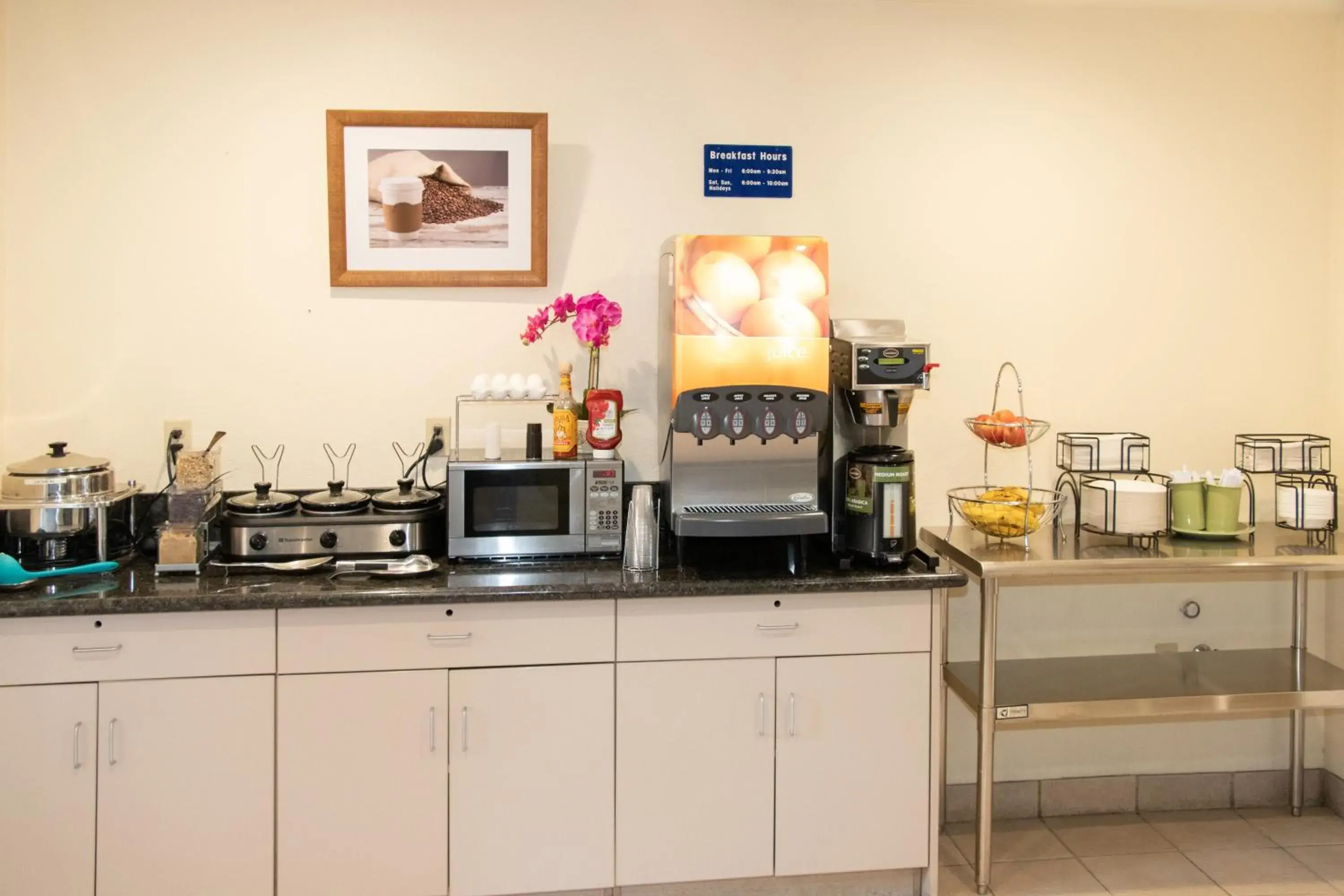 Coffee/tea facilities, Kitchen/Kitchenette in Microtel Inn & Suites Lodi