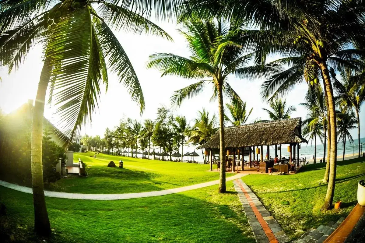 Natural landscape, Garden in Palm Garden Beach Resort & Spa