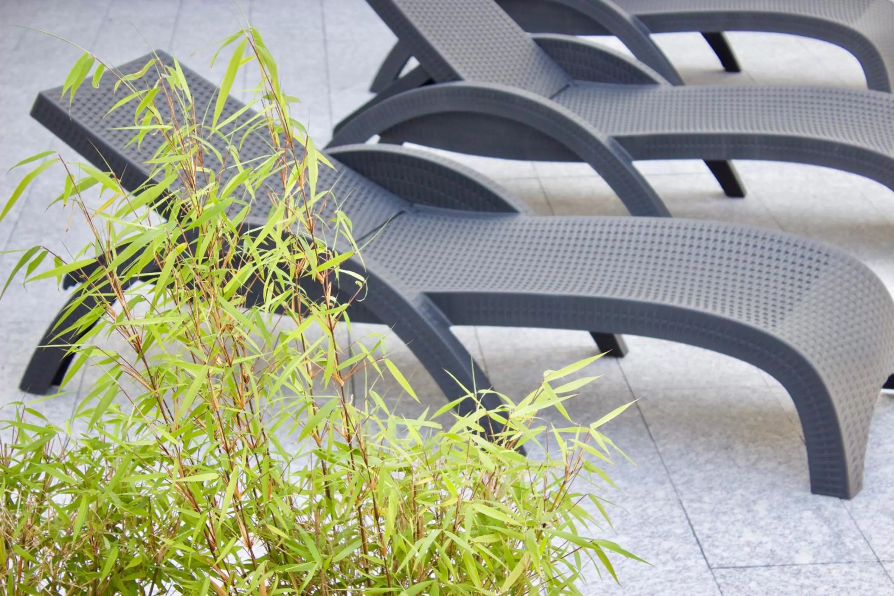 Balcony/Terrace in Hotel Ostermann