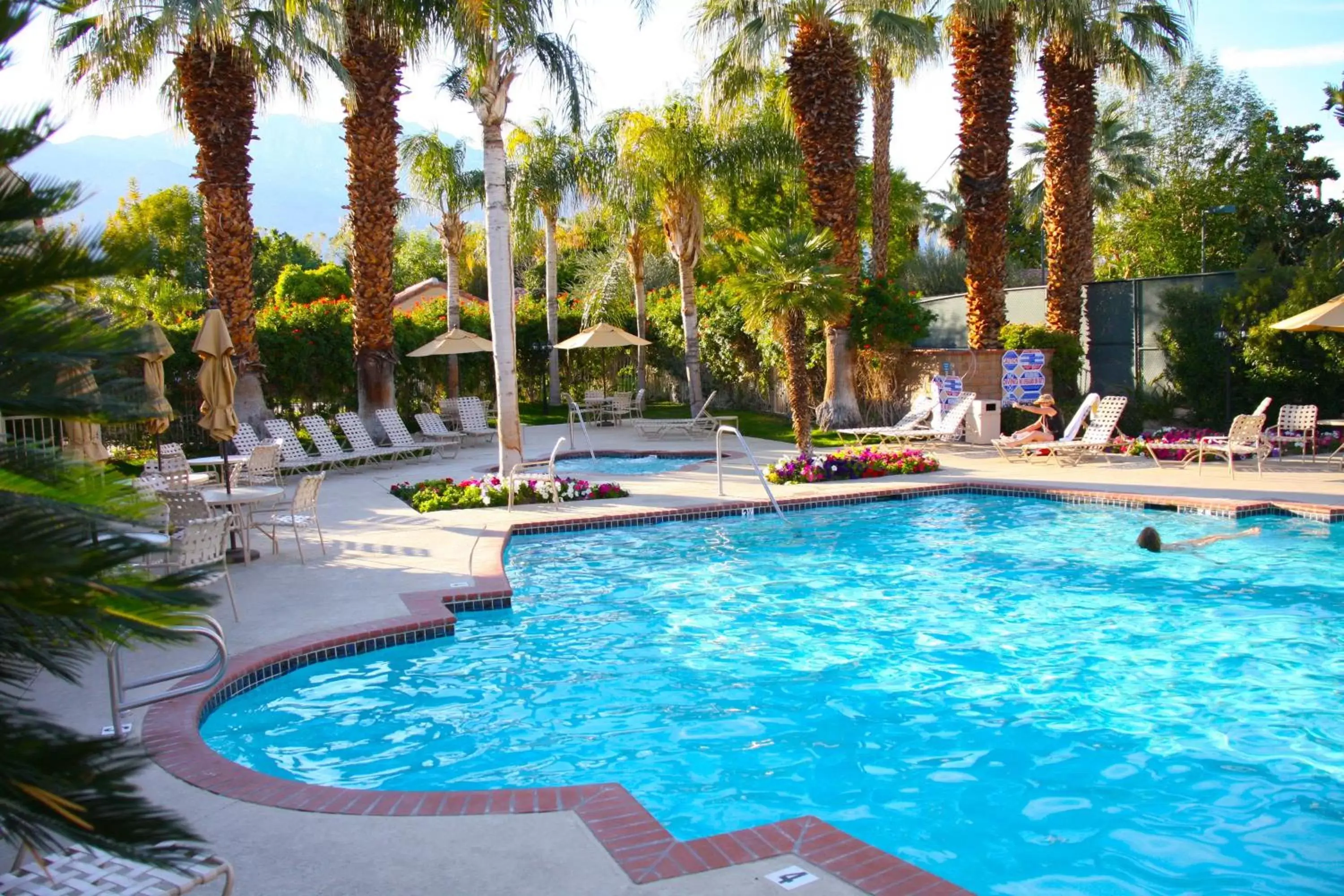 Swimming Pool in The Oasis Resort