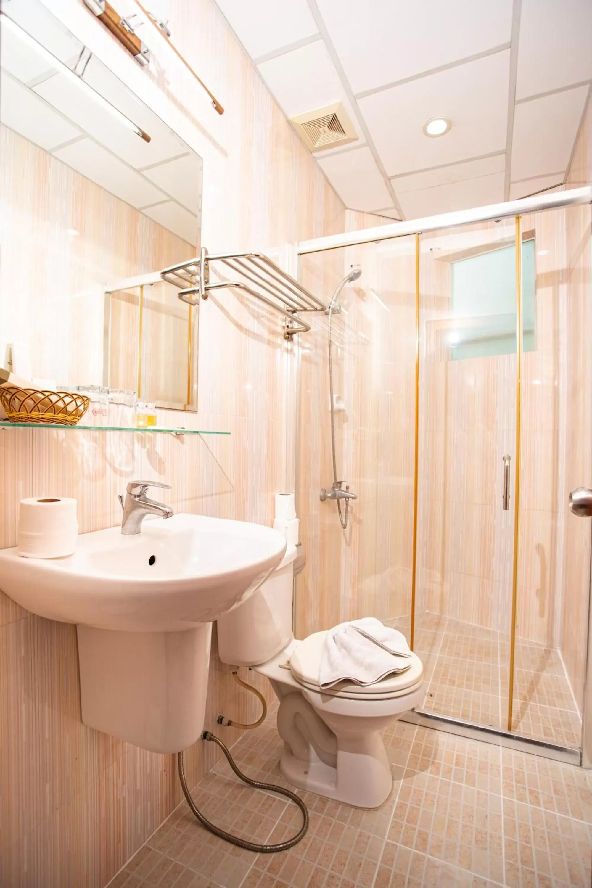 Shower, Bathroom in Silver Mounts Hotel