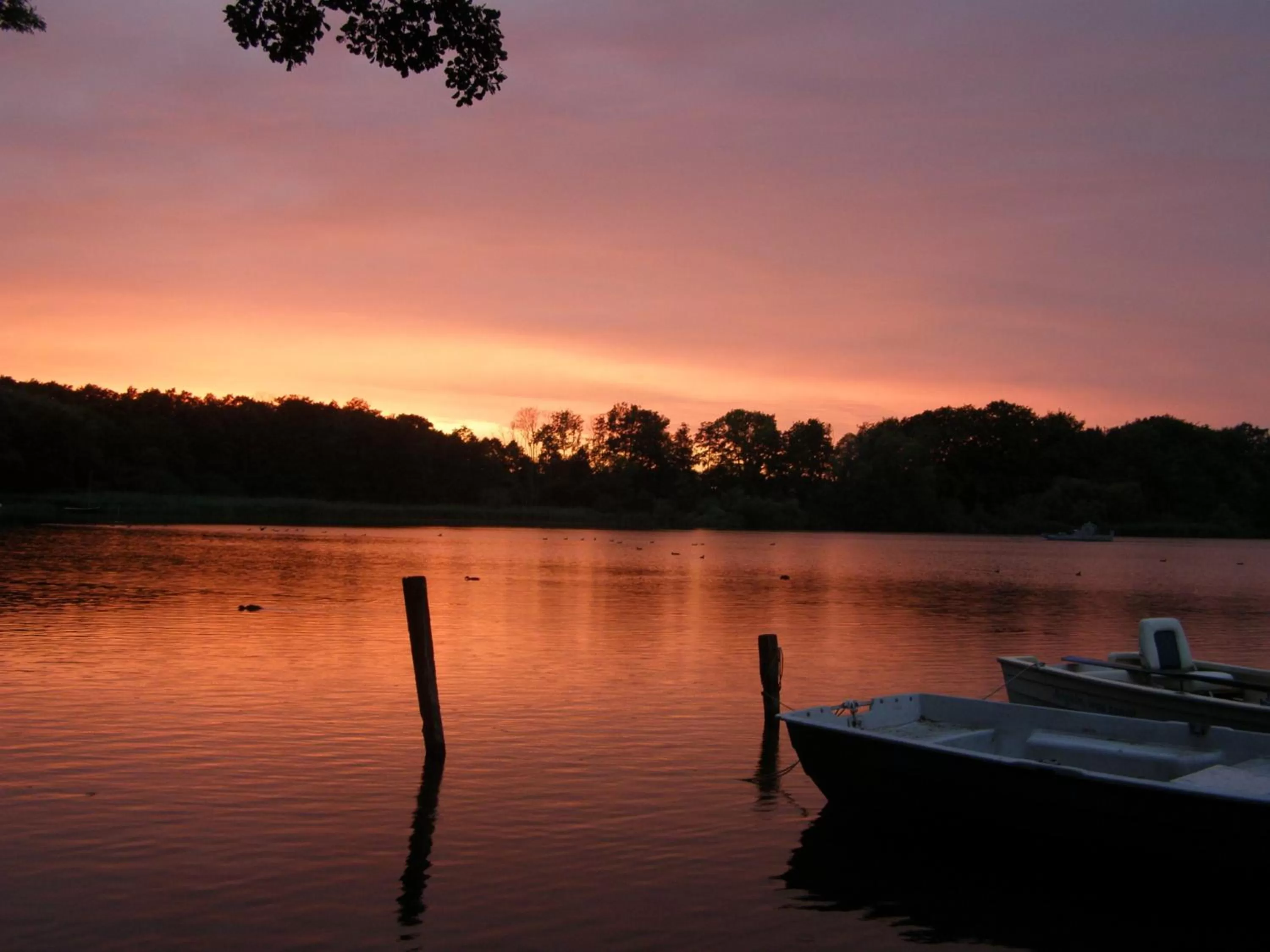 Lake view in Hotel Fährhaus Niederkleveez