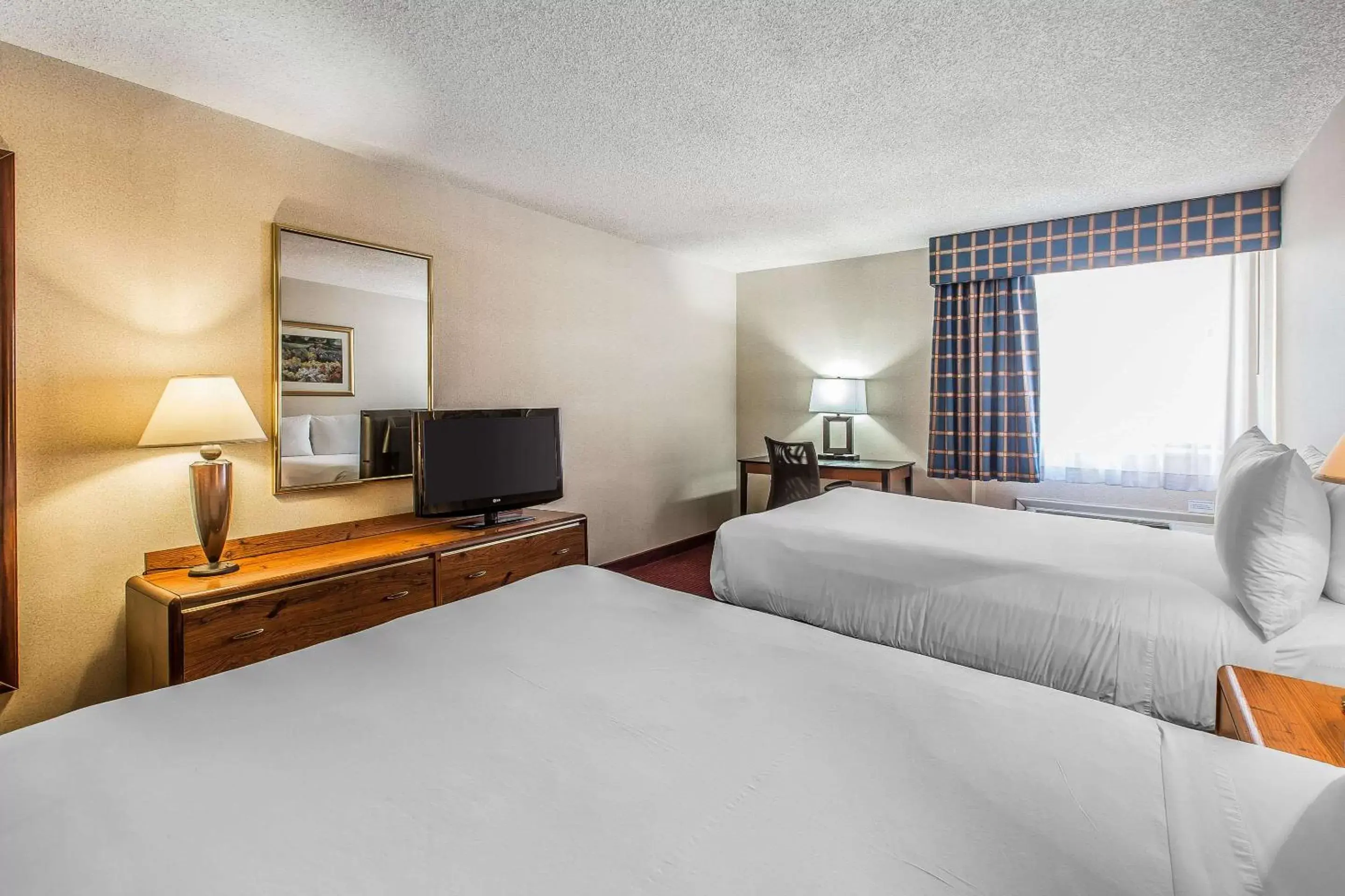 Photo of the whole room, Bed in Quality Inn & Suites