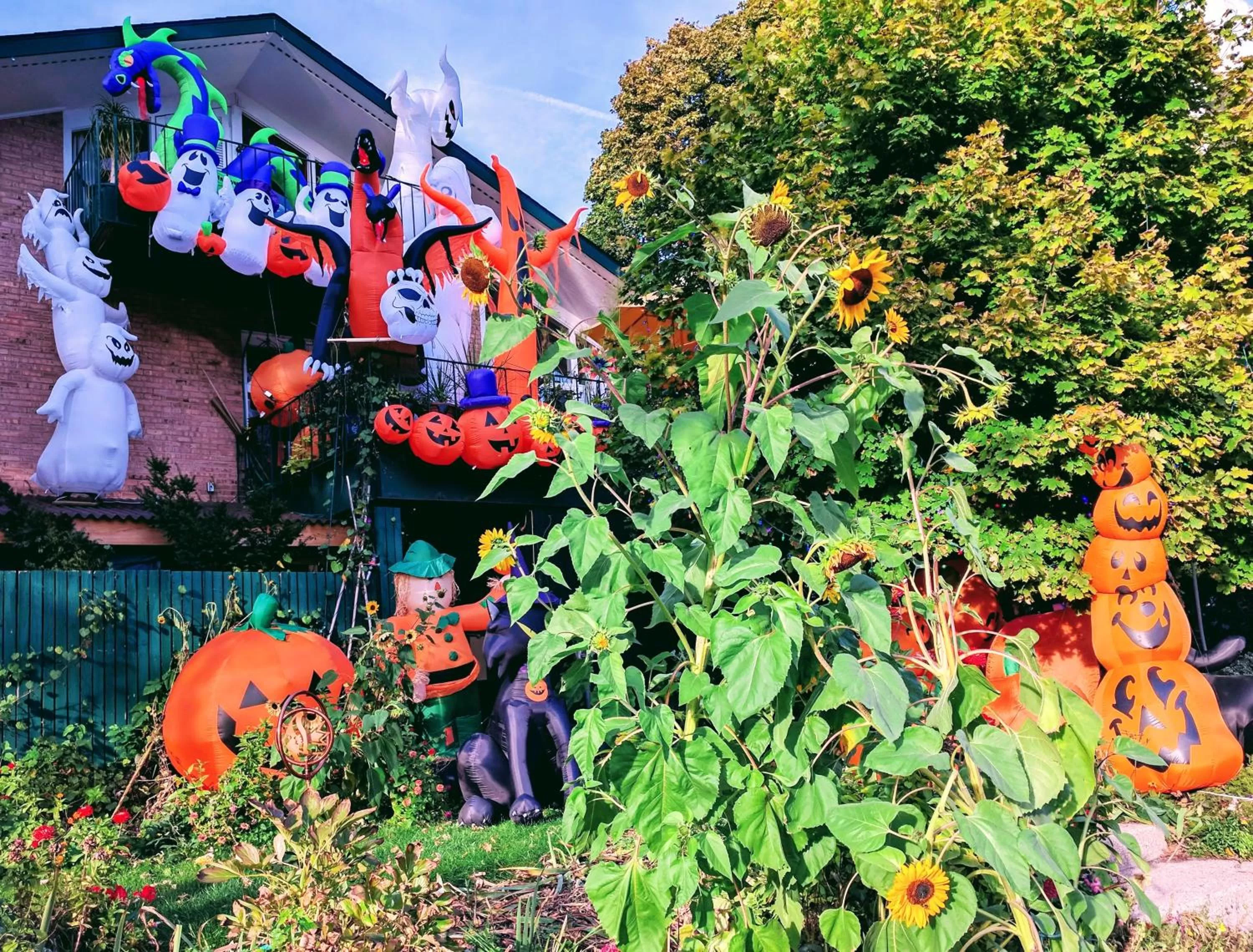 Ann Arbor Bed and Breakfast