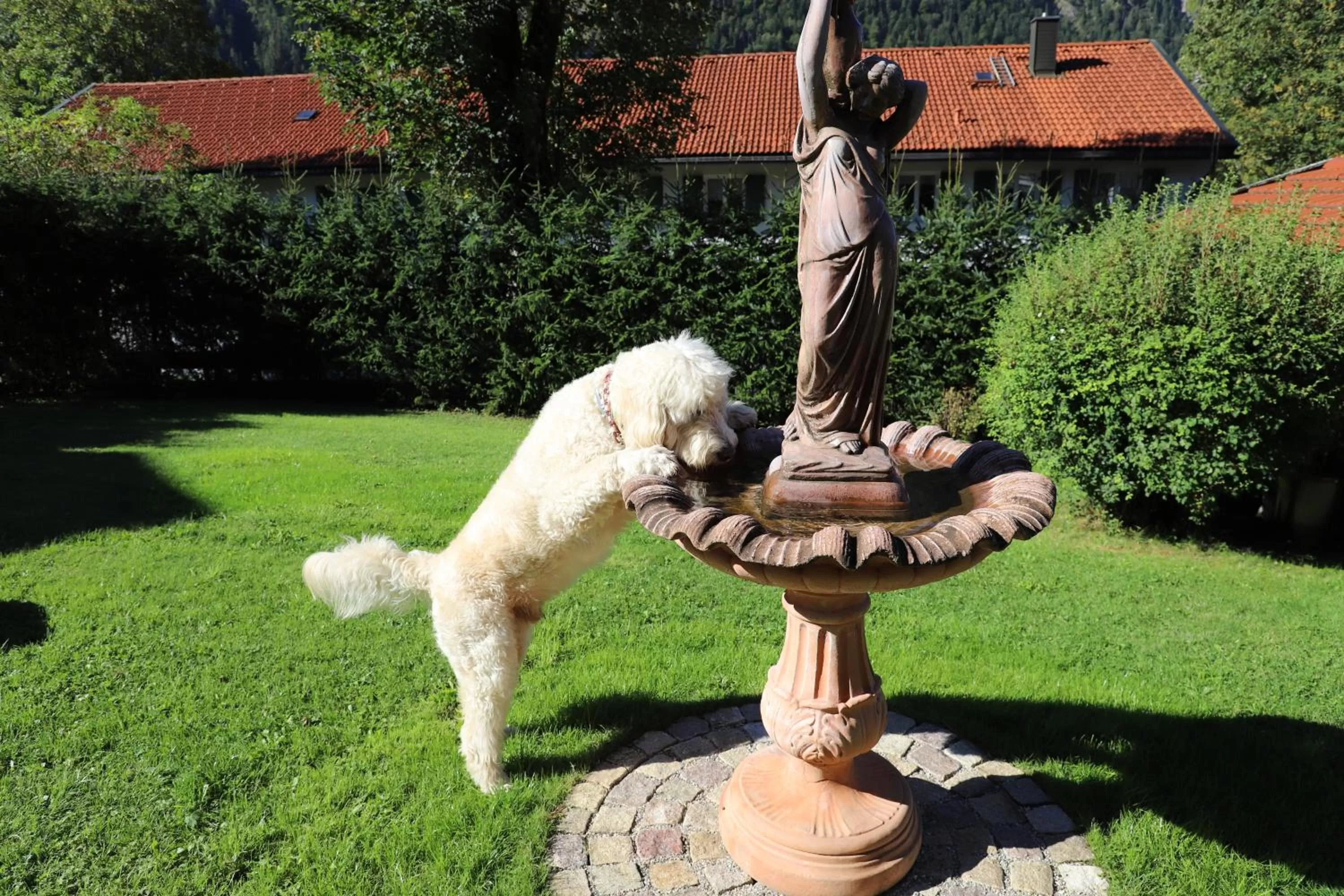 Garden in Hotel Effland -Sauna -Pool