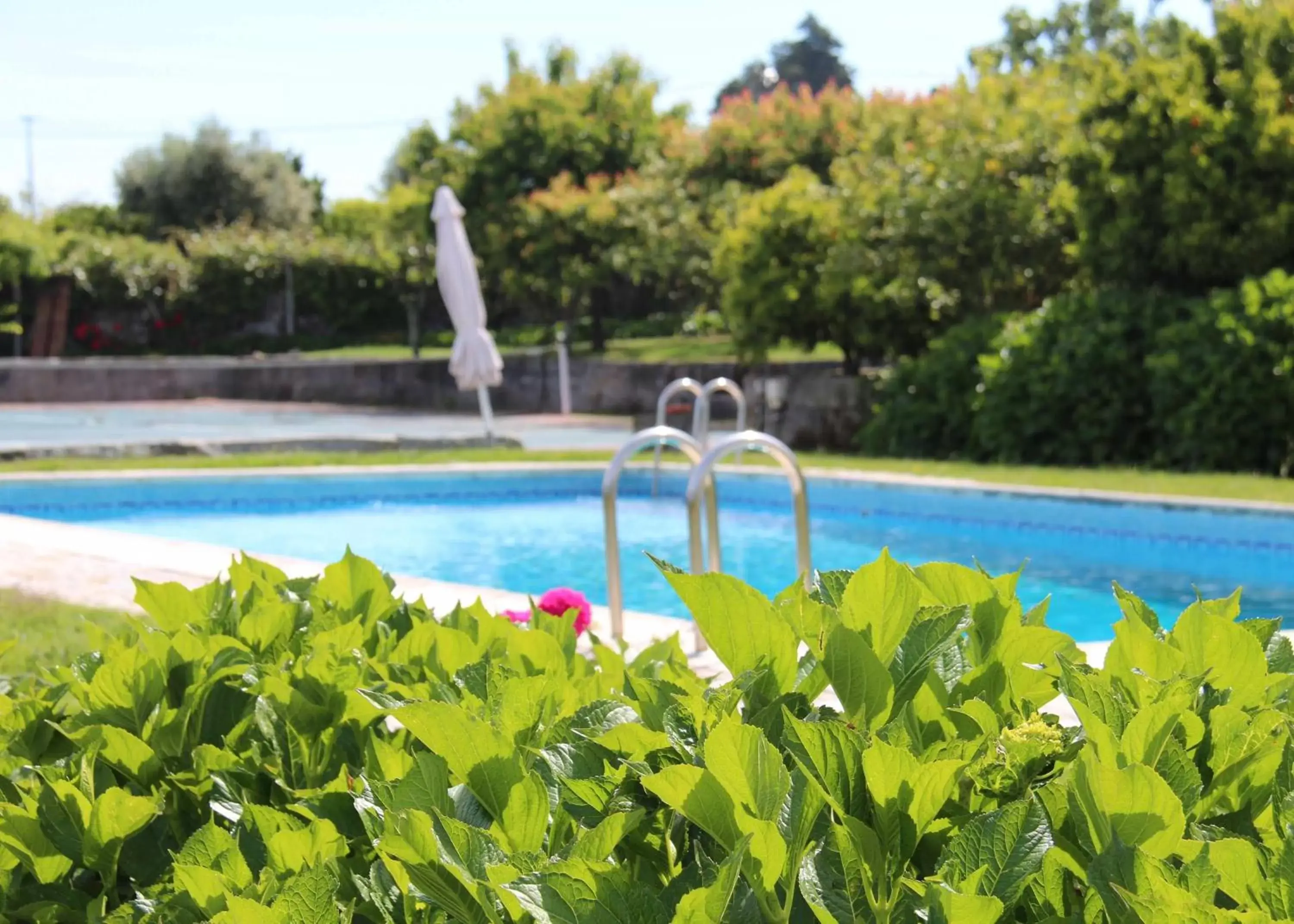 Pool view, Swimming Pool in Casa de Santa Ana da Beira