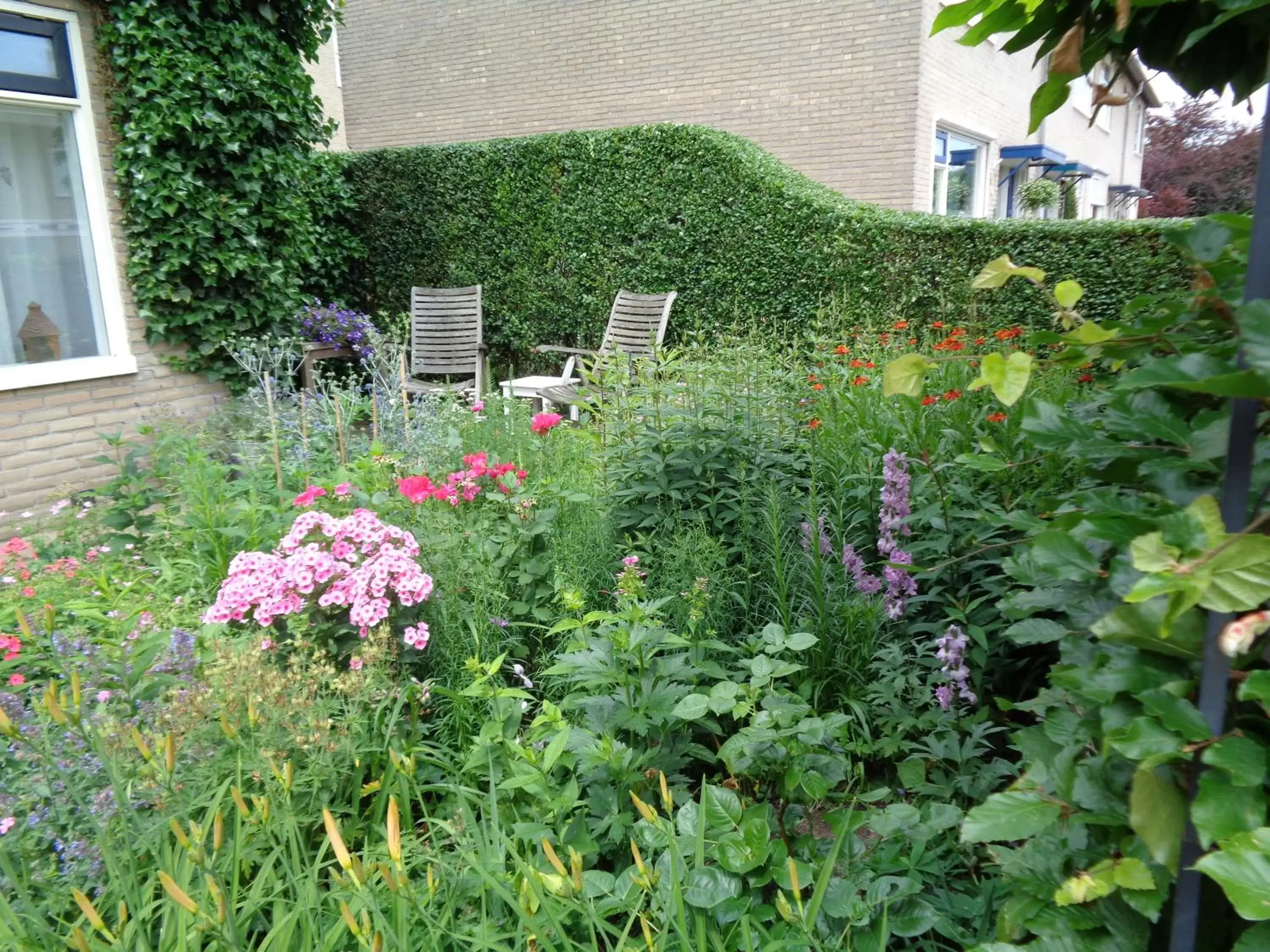 Garden in Oddingsplace