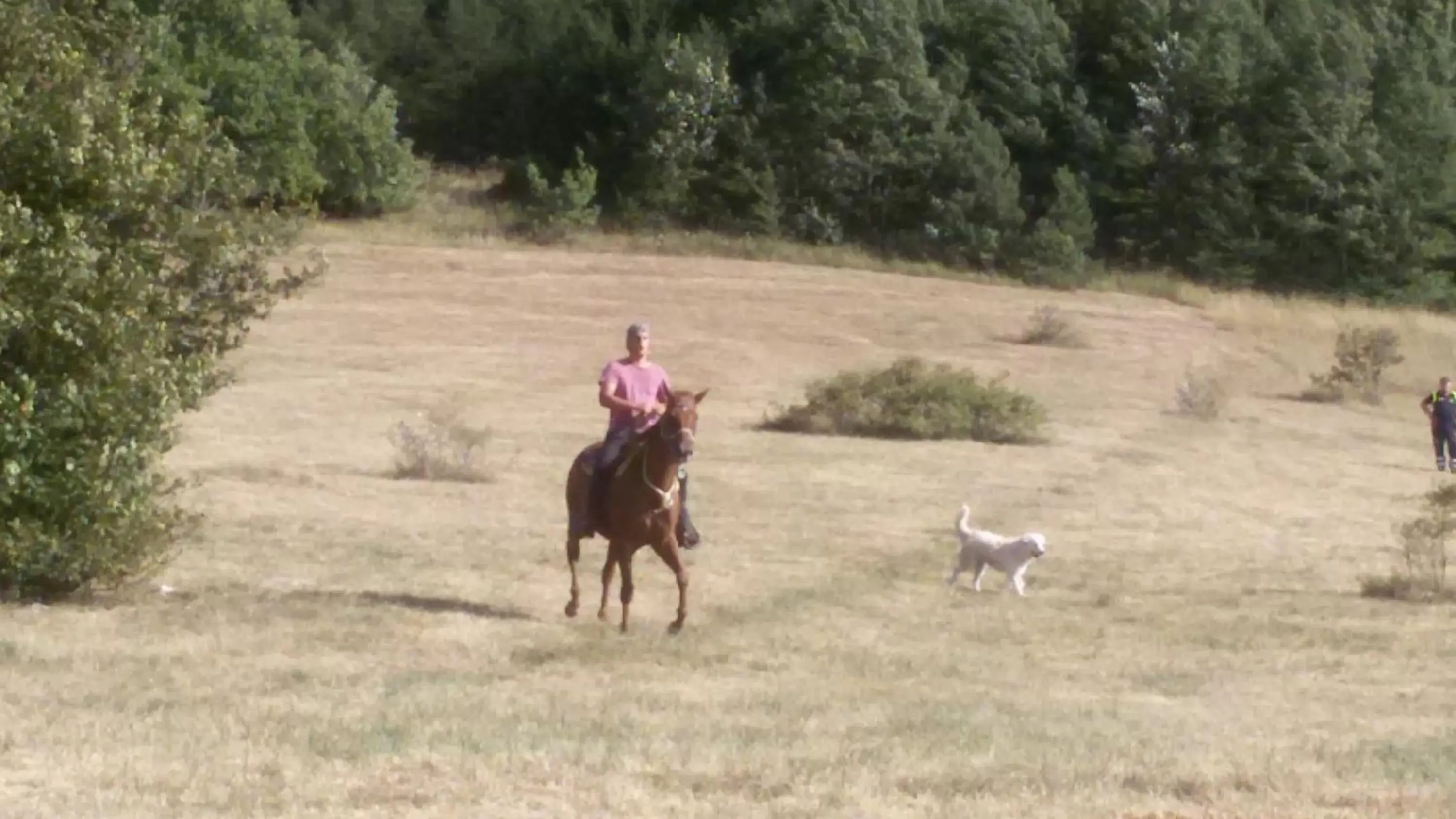 Horseback Riding in Amor di Lavanda