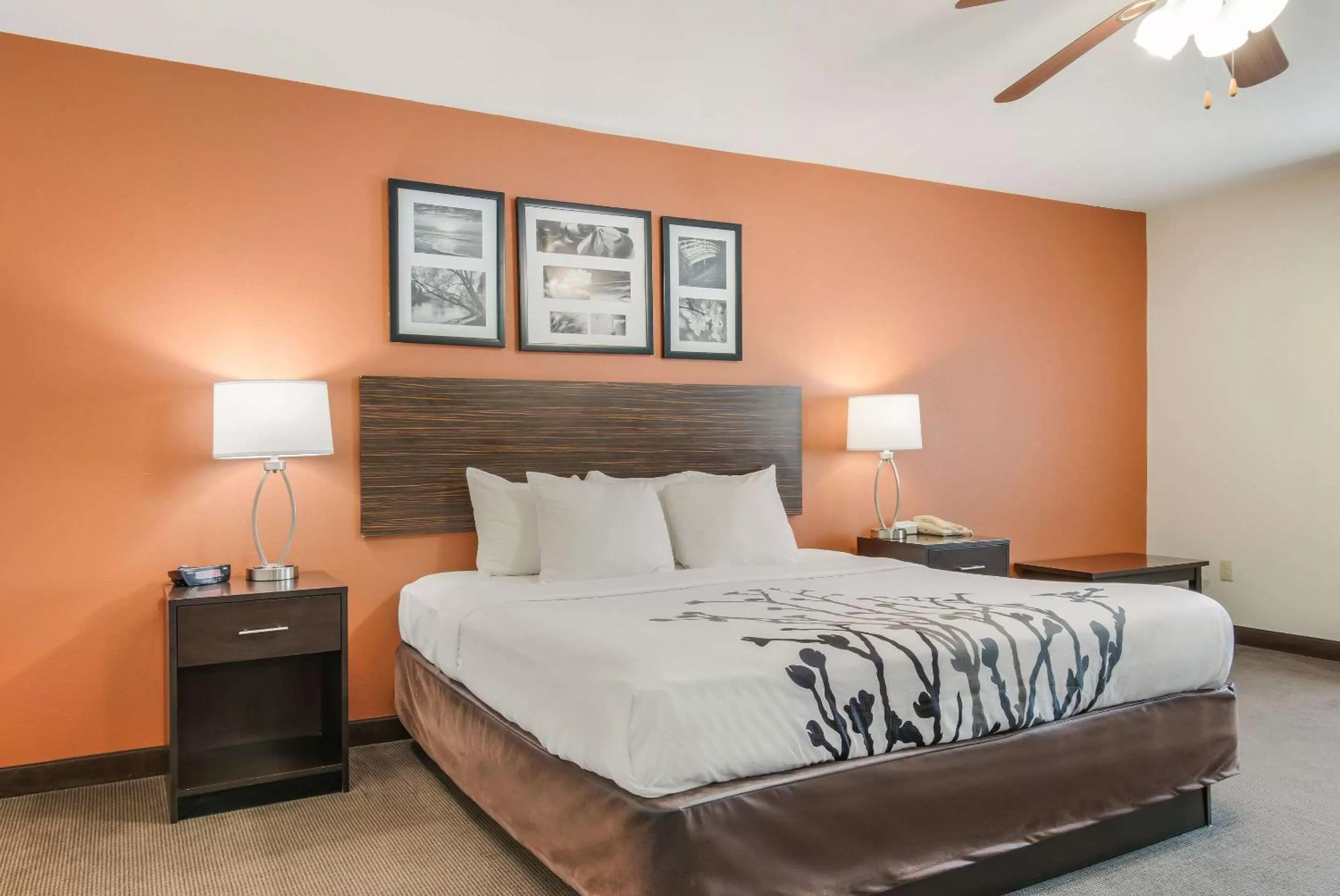 Bedroom in Sleep Inn & Suites Ronks