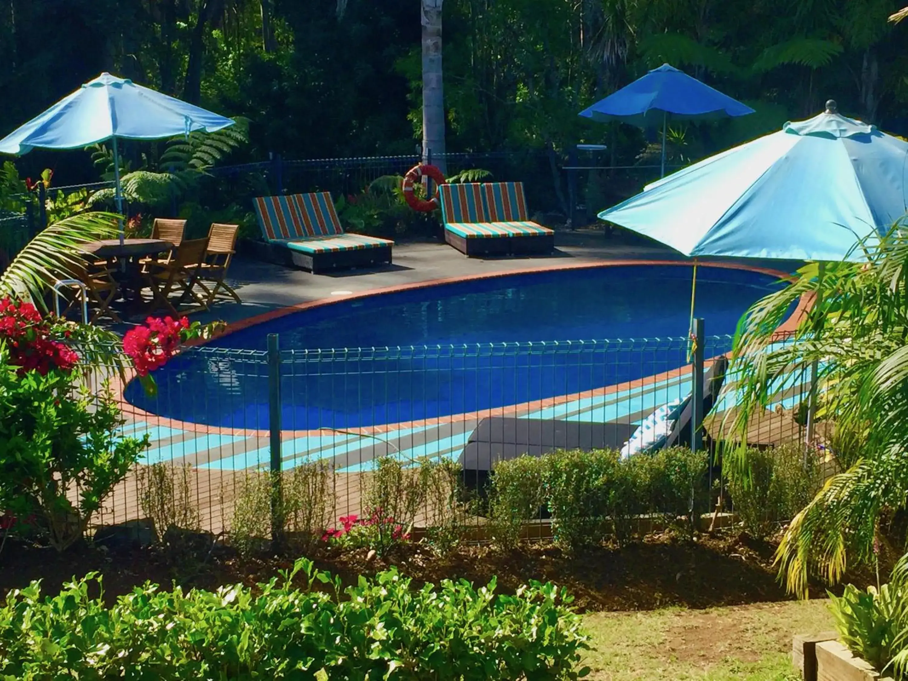 Swimming Pool in Stay Kerikeri