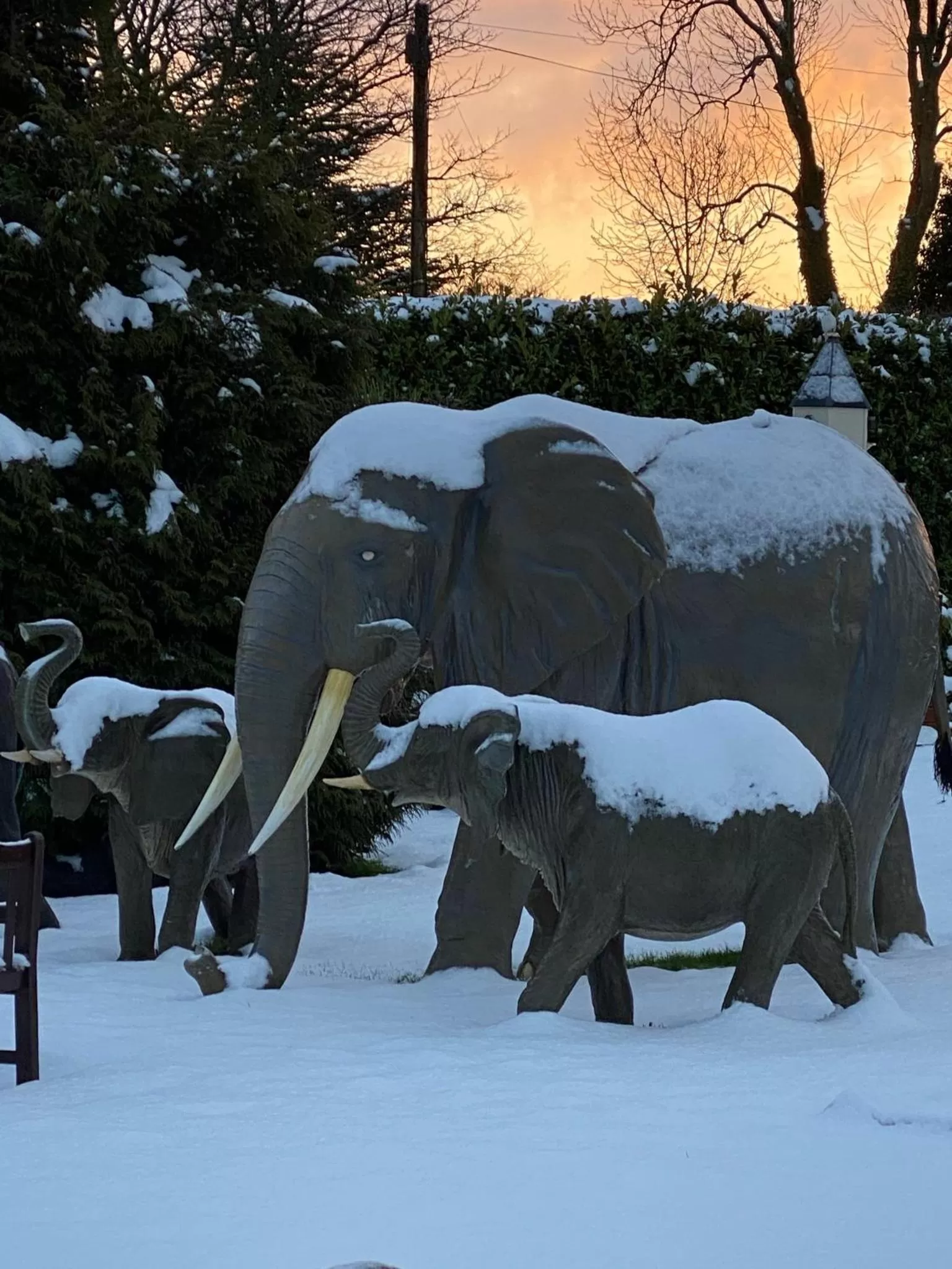 Garden in The Hilltop Haven
