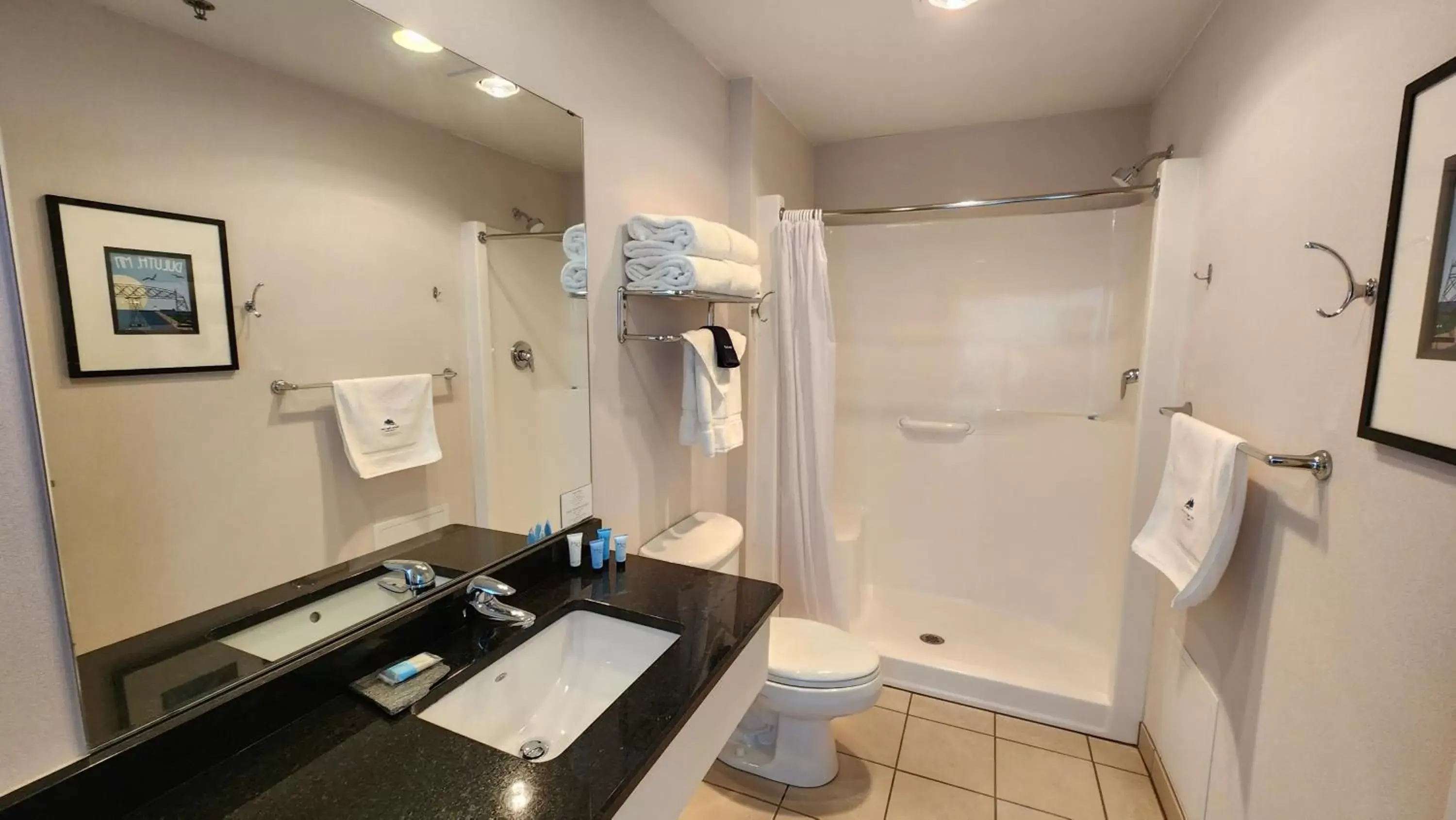 Shower, Bathroom in South Pier Inn