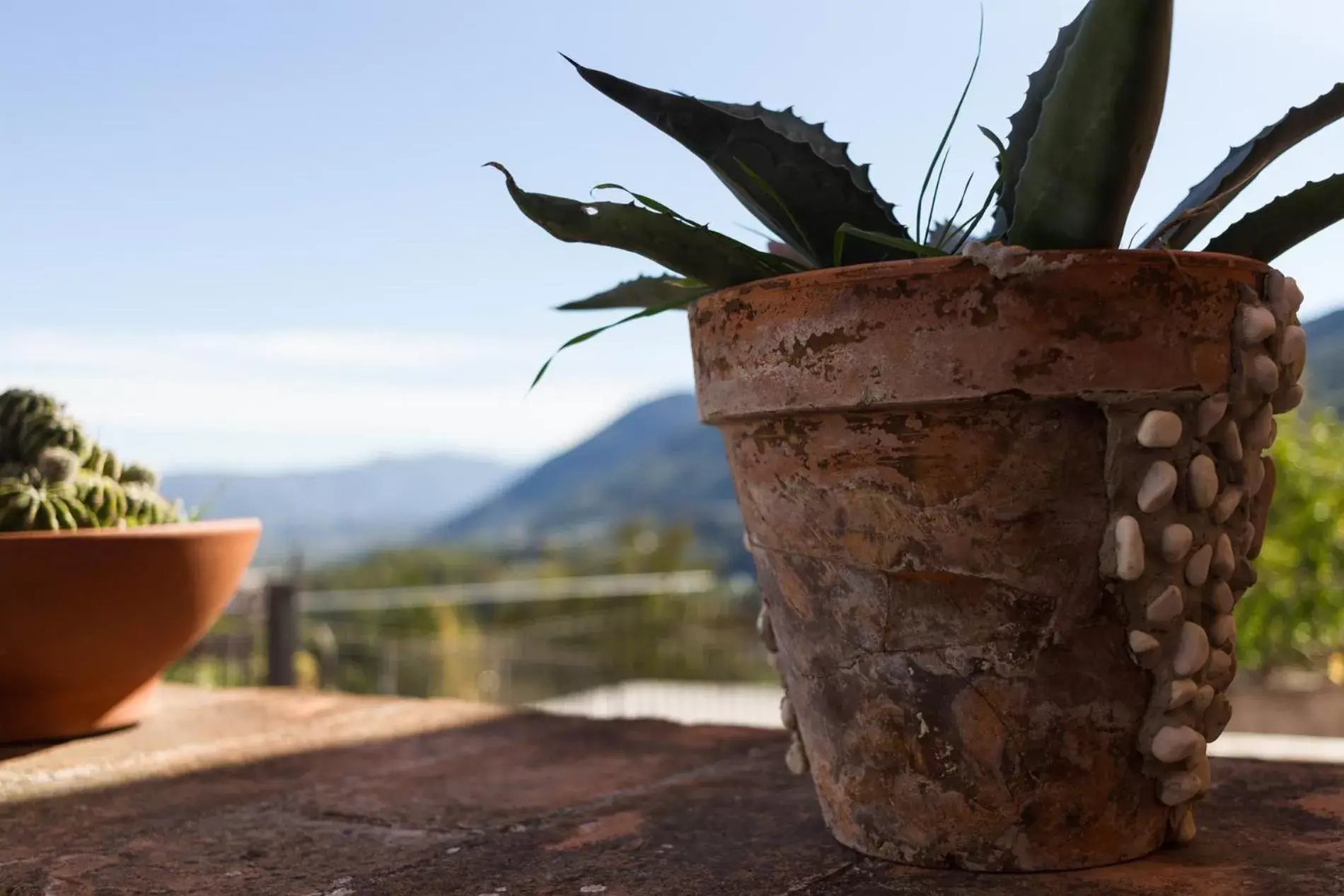 Balcony/Terrace in Montanari Agrivillage