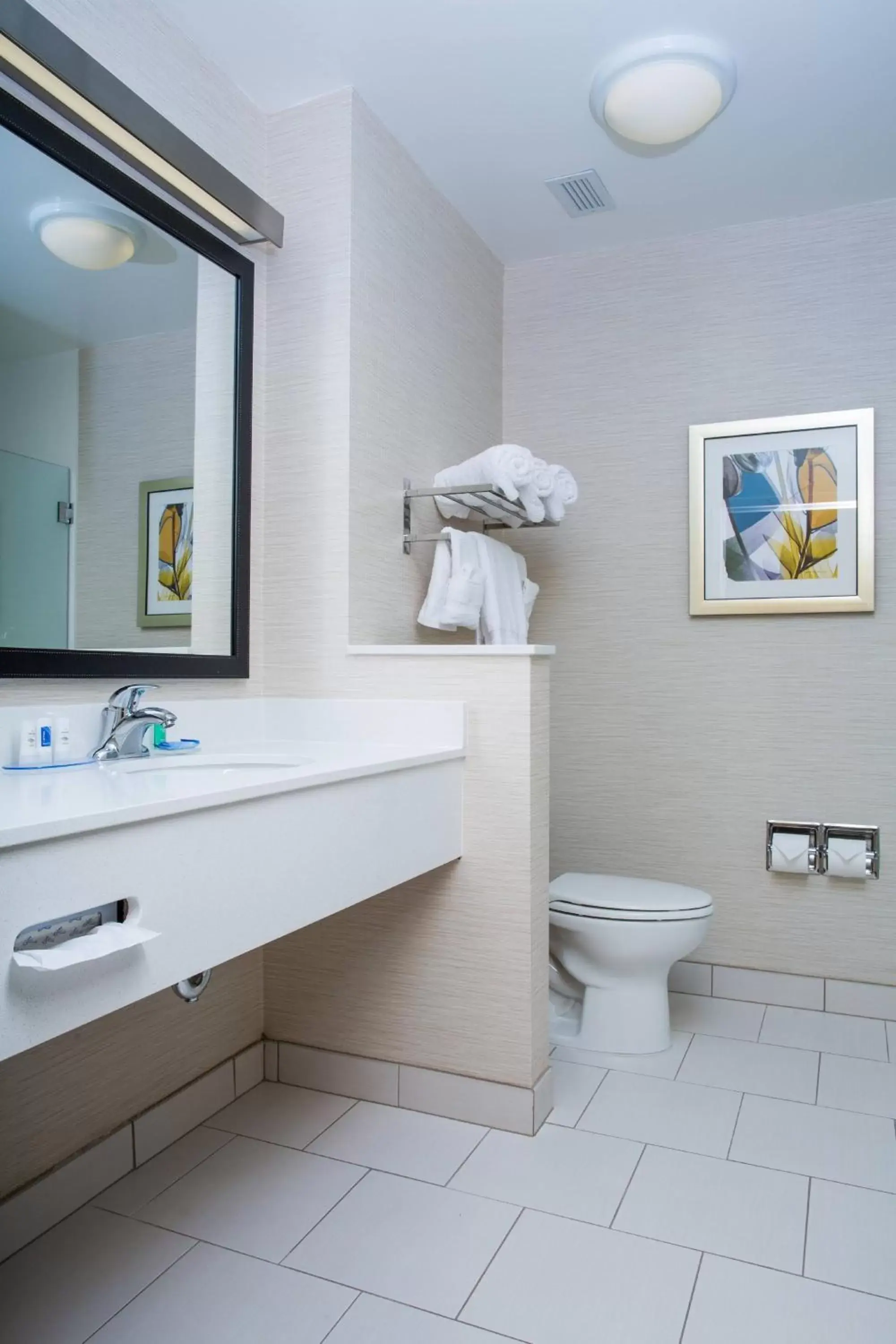 Bathroom in Fairfield Inn & Suites by Marriott Lincoln Southeast