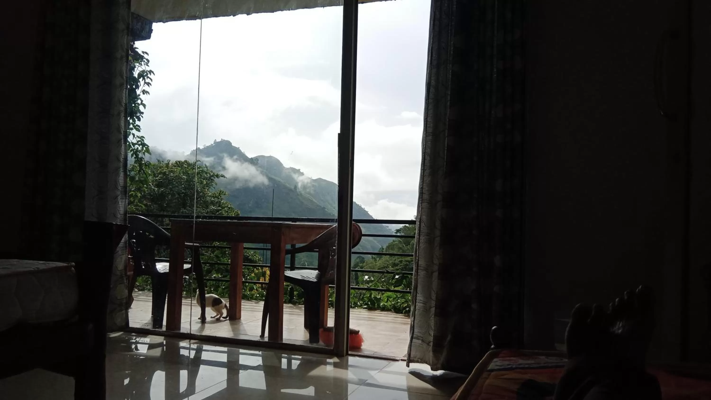 Ella Lucky Panoramic