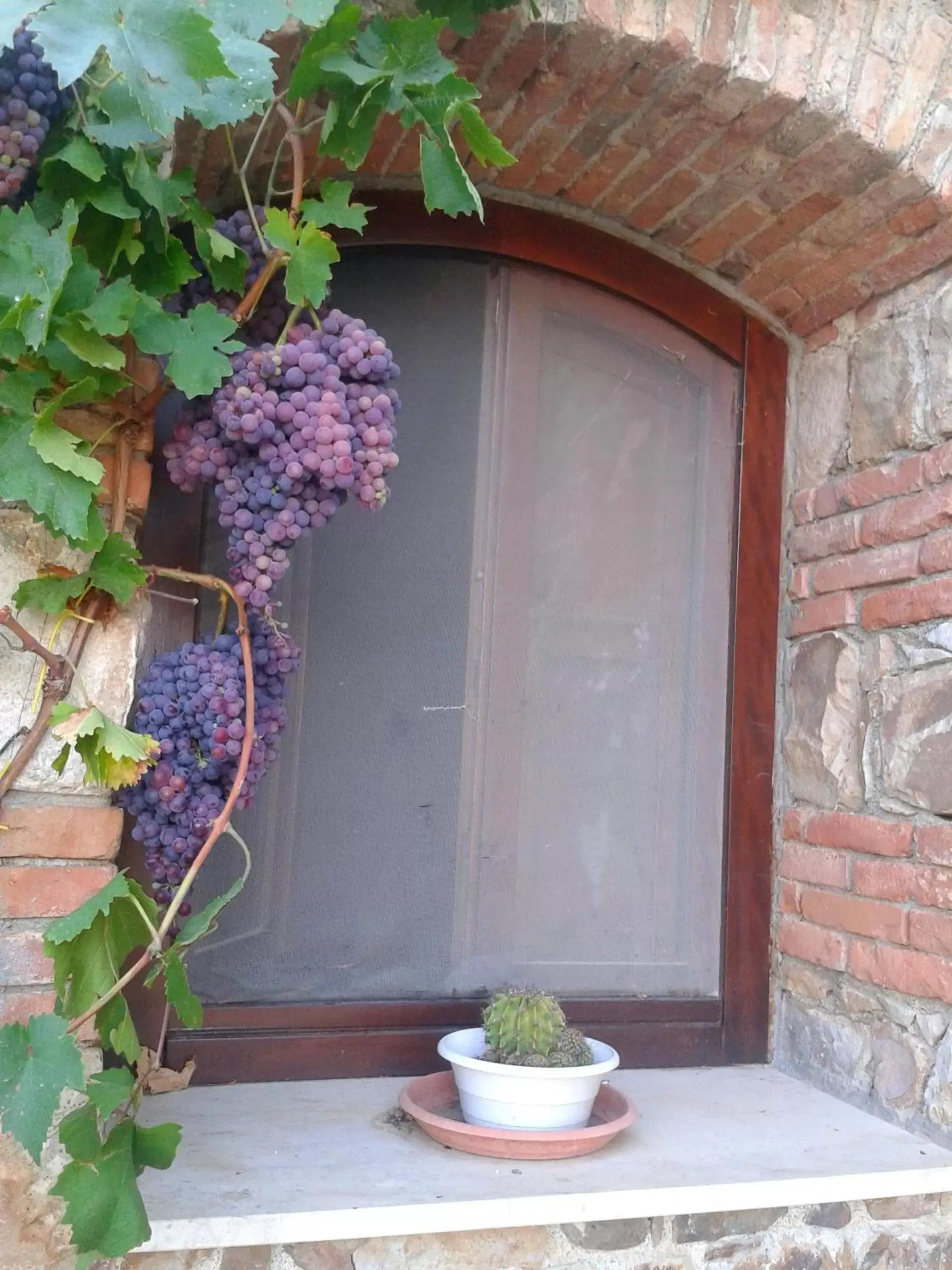 Decorative detail, Patio/Outdoor Area in Villaggio dei Balocchi