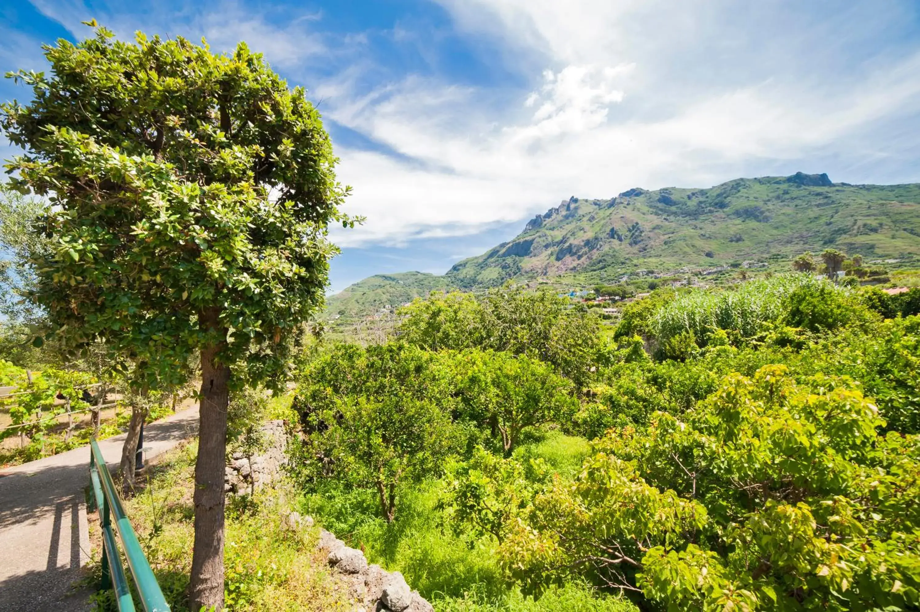 Natural landscape, Mountain View in Park Hotel Terme Mediterraneo