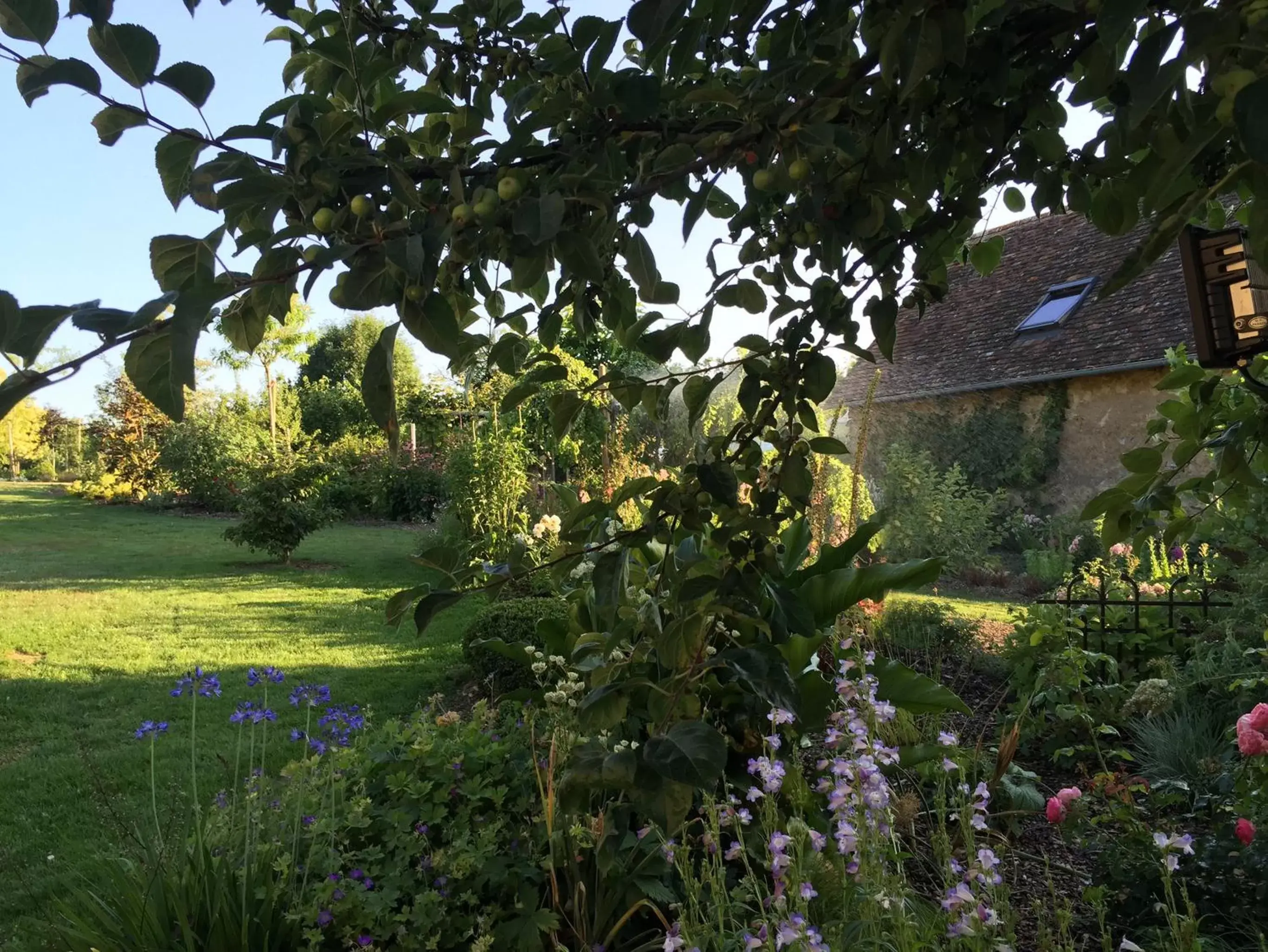 Garden in L'Ecole des Garçons