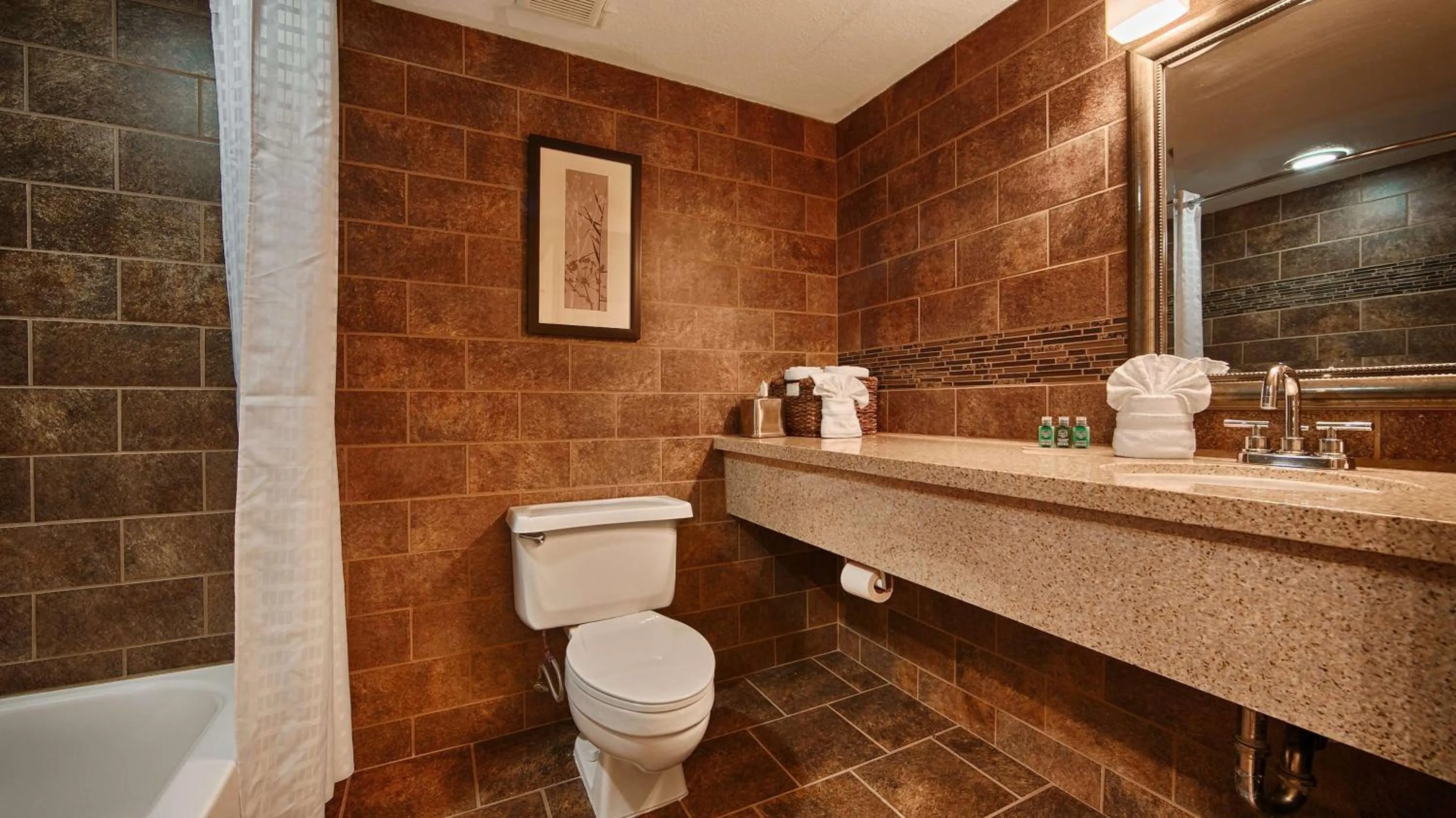 Photo of the whole room in Hotel d'Lins Ontario Airport