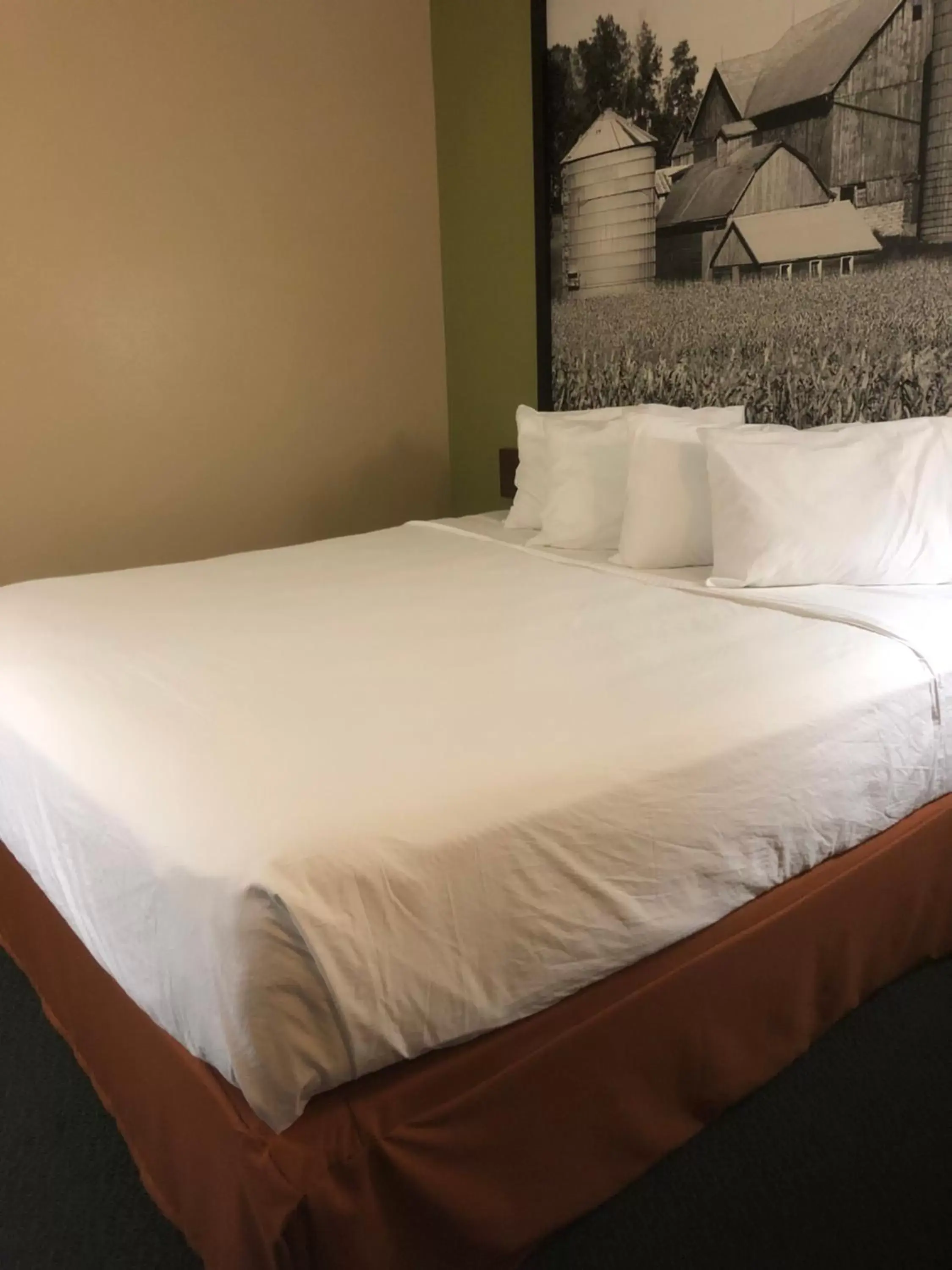 Bed in Americas Best Value Inn Onawa