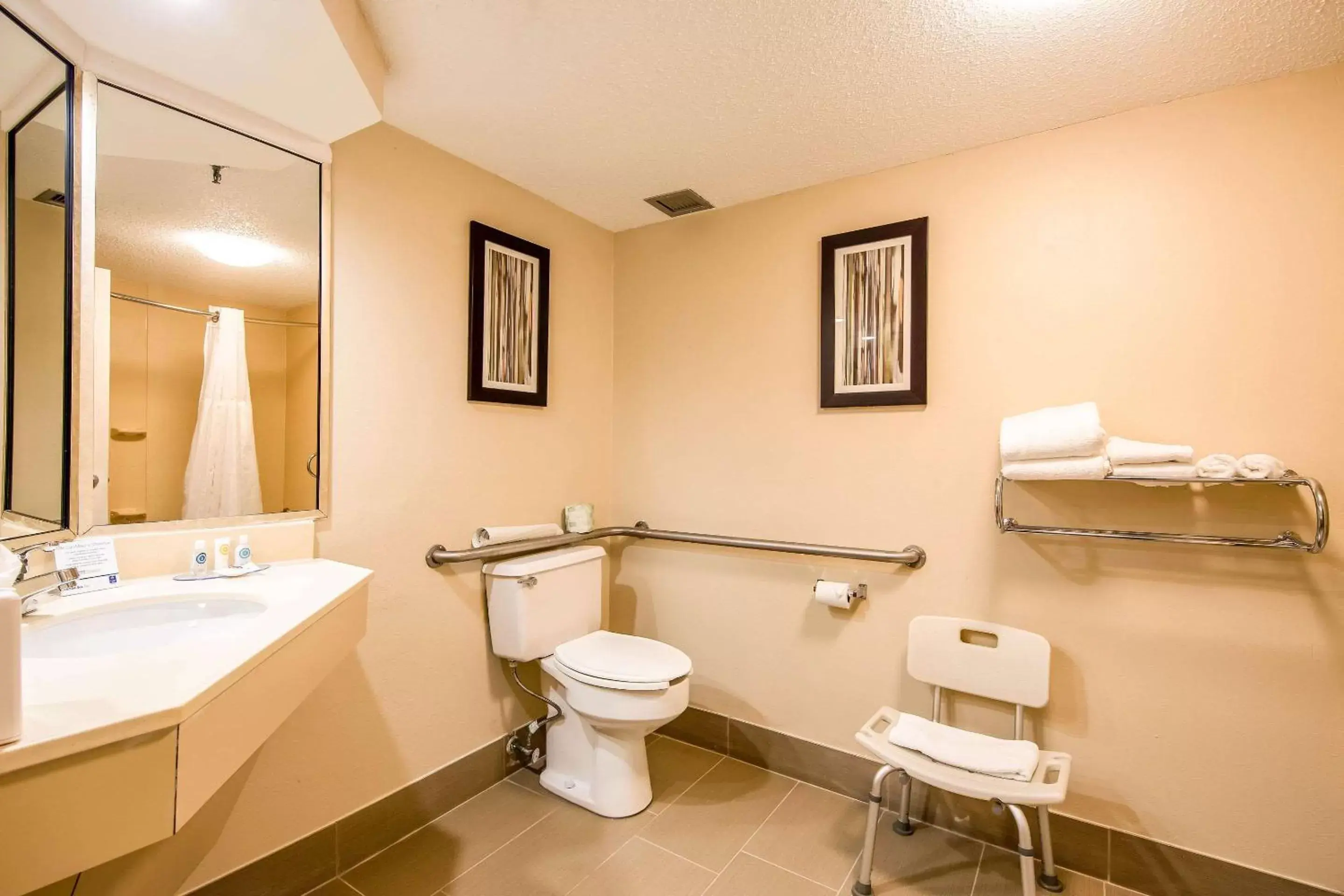 Bathroom in Comfort Inn Greenville - Haywood Mall