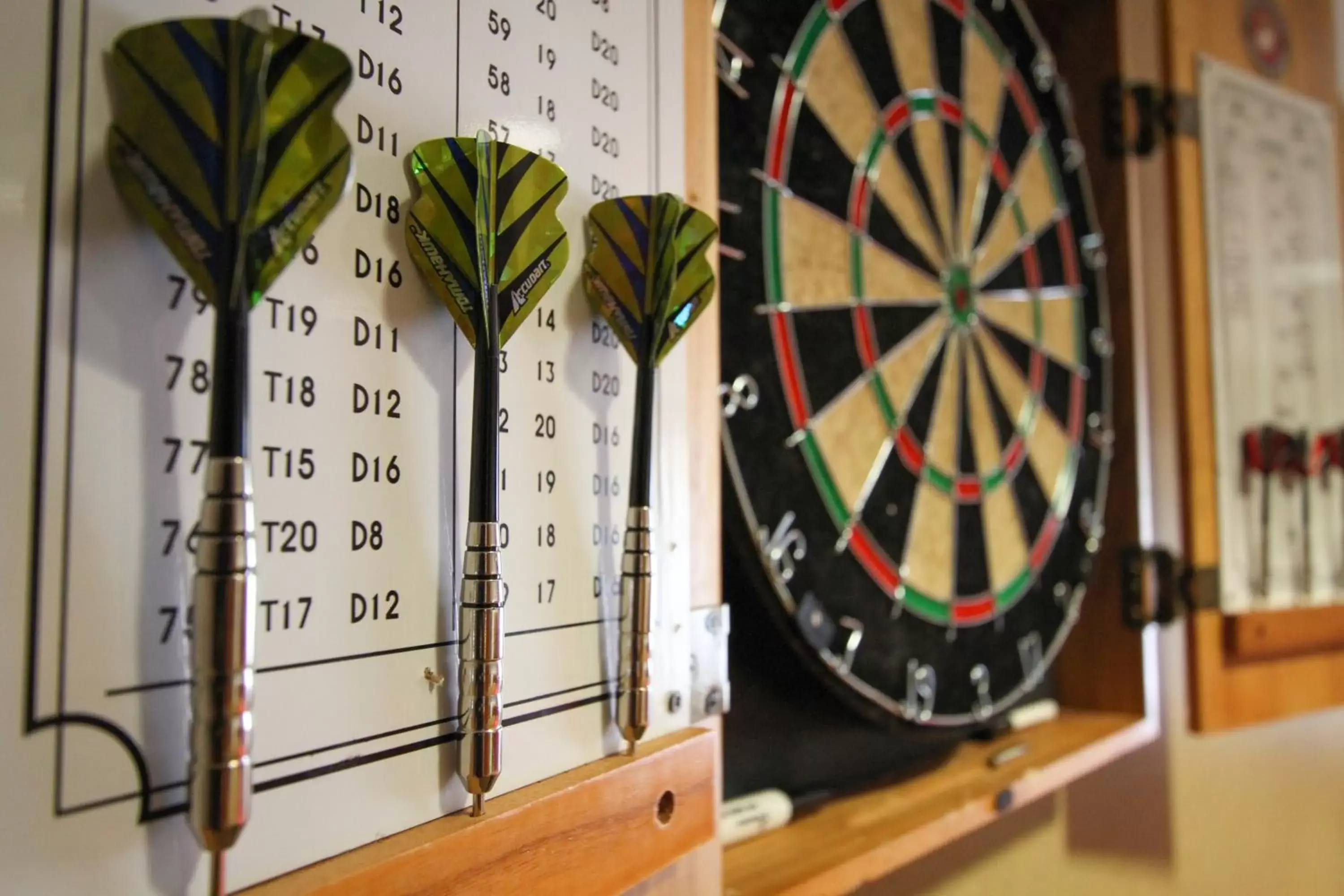 Darts in GreenTree Inn and Suites Florence, AZ