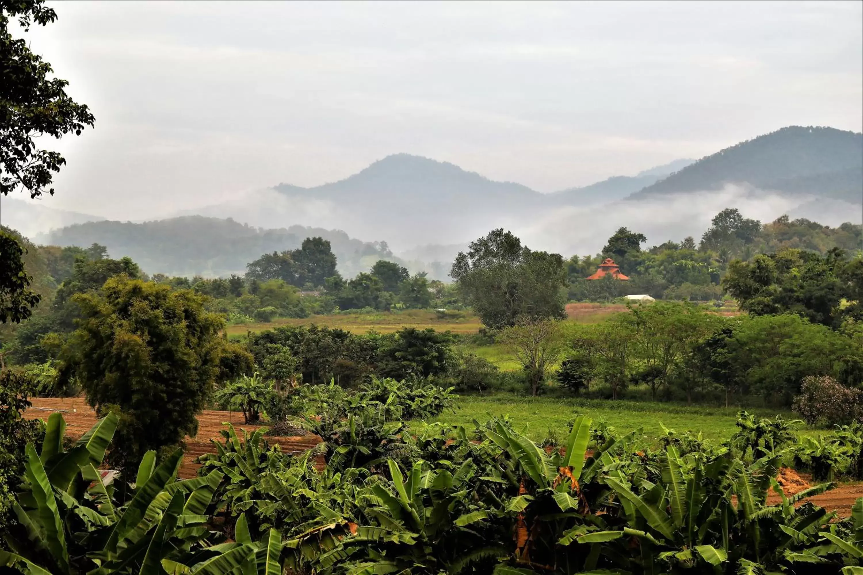 View (from property/room) in Yoma Hotel, Pai View (from property/room) in Yoma Hotel, Pai