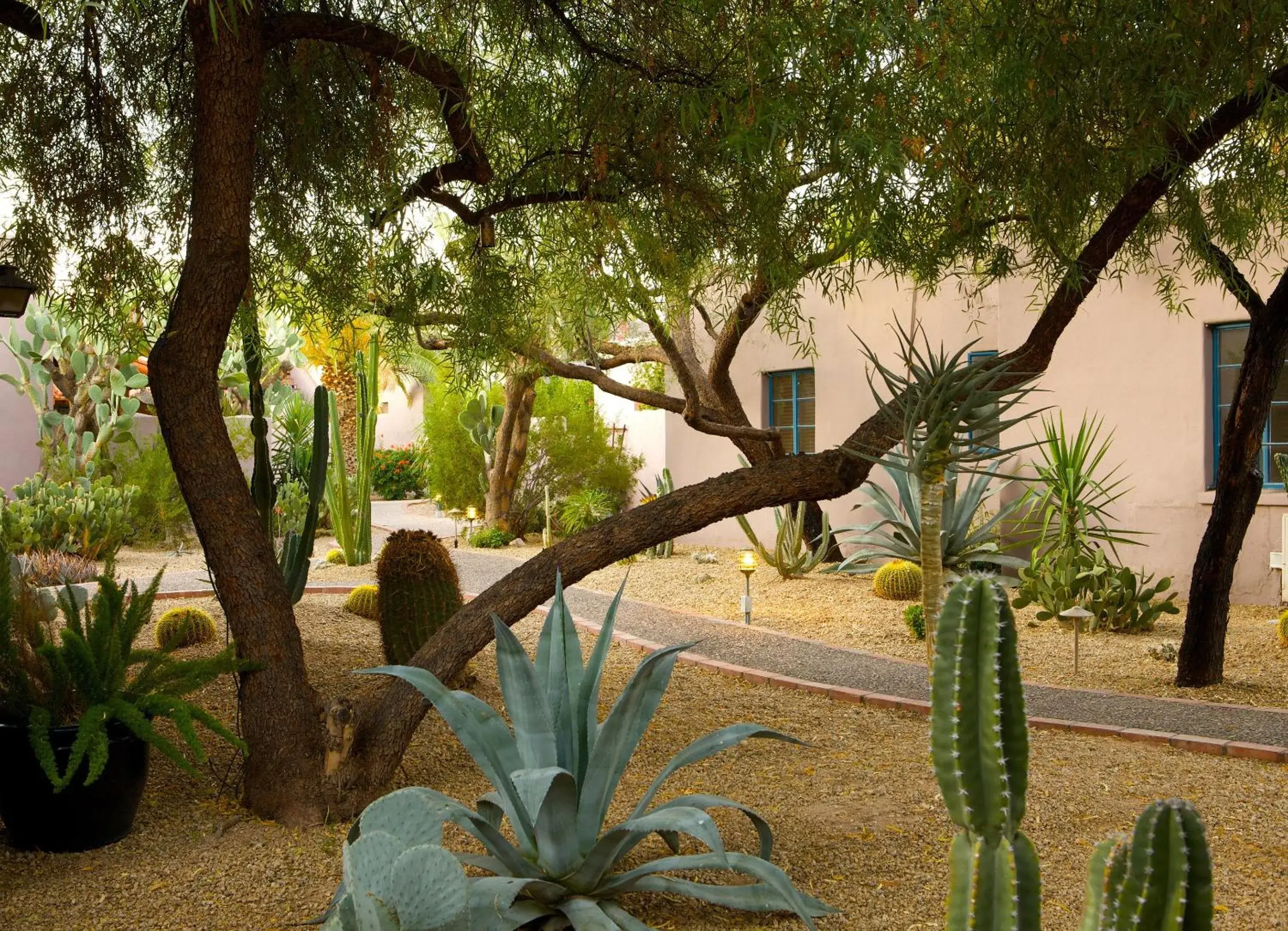 Garden in Lodge On The Desert