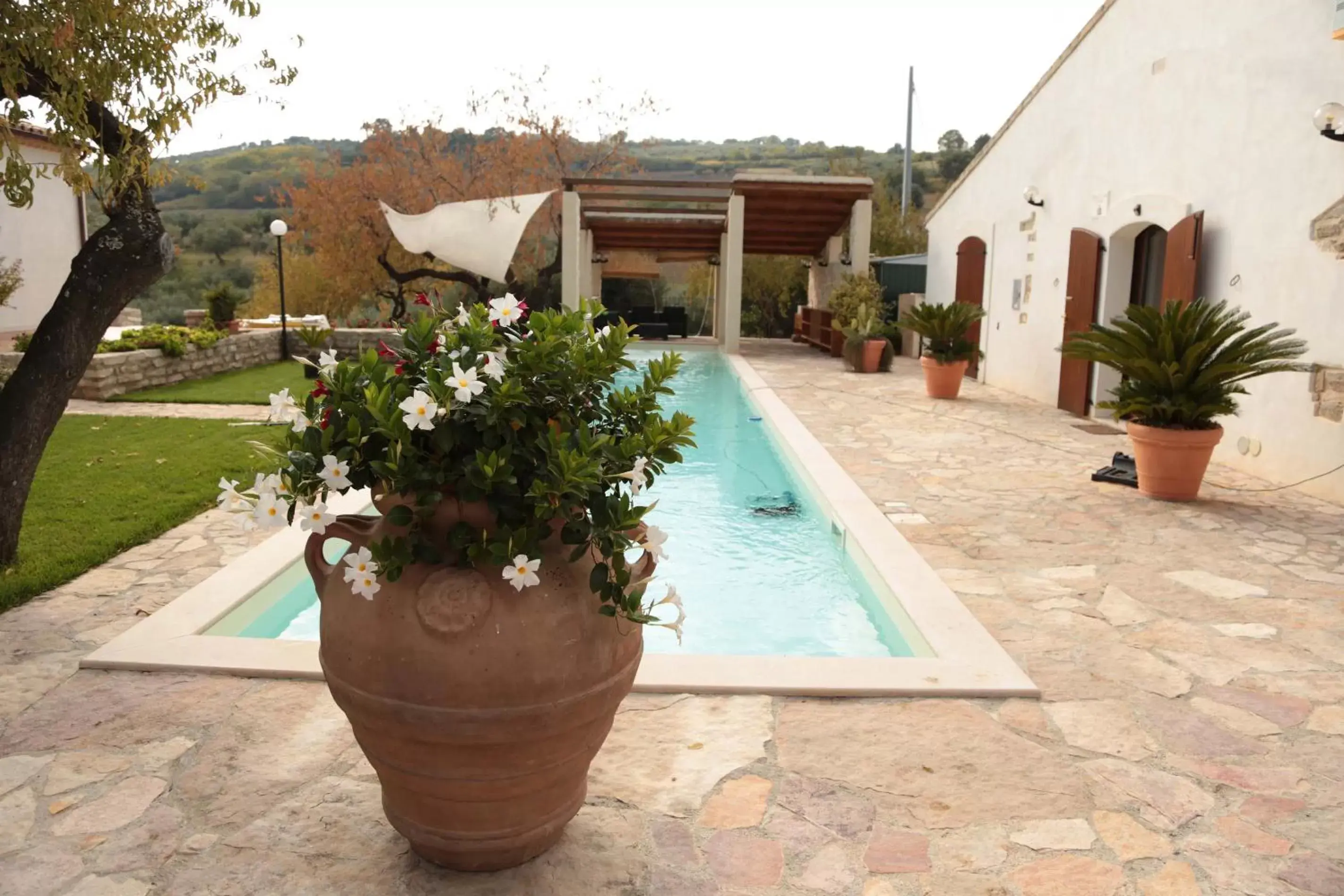 Swimming Pool in Villa Angiolina, Molise