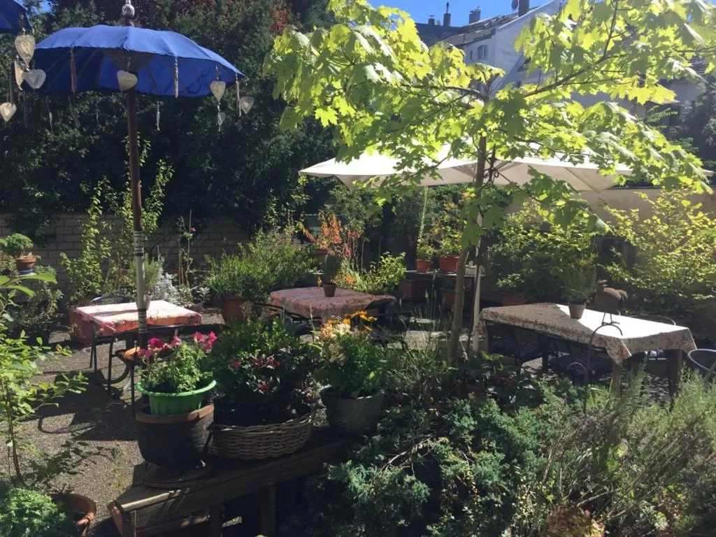 Patio in Hotel Cascade Superior