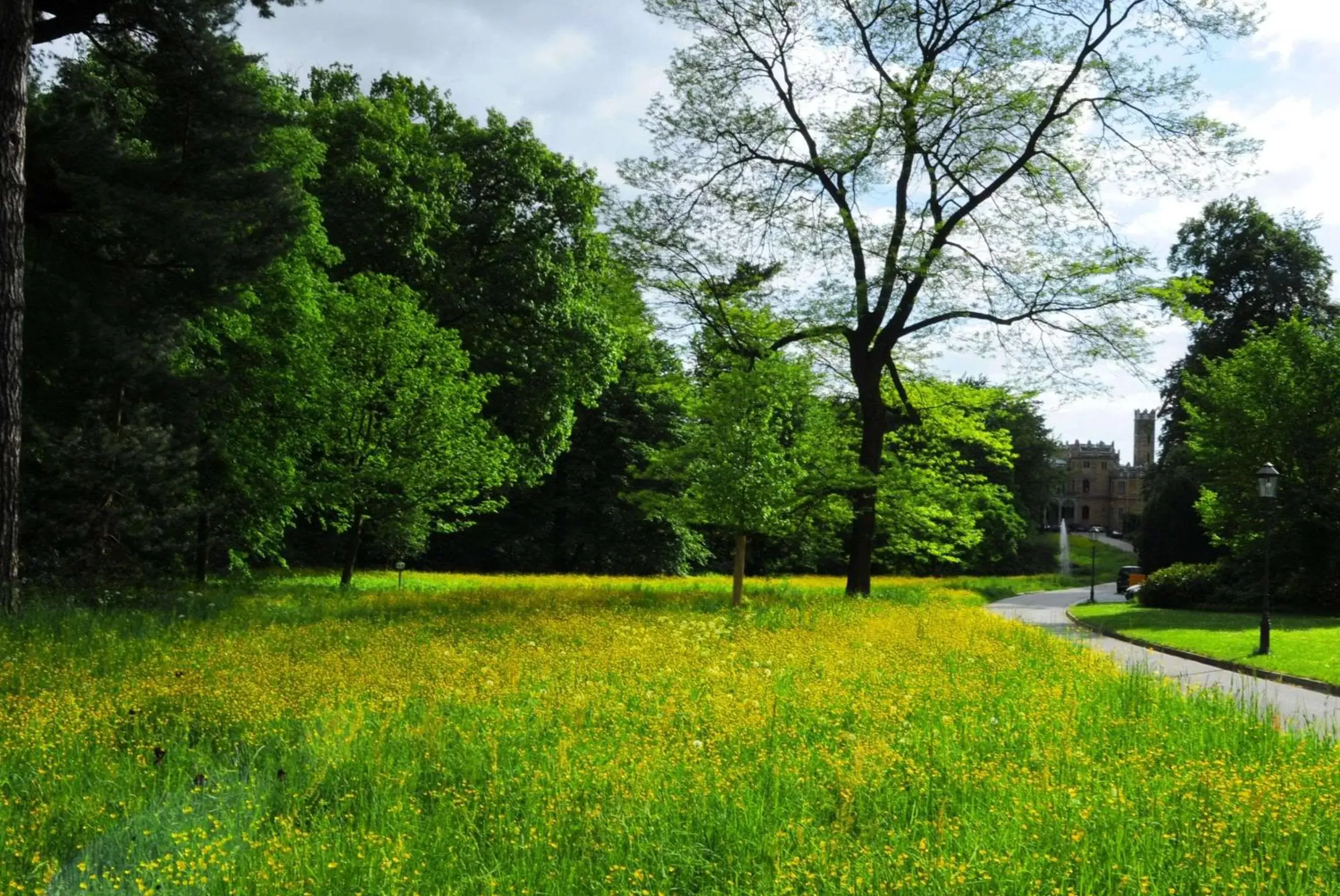 Sports, Garden in Hotel Schloss Eckberg