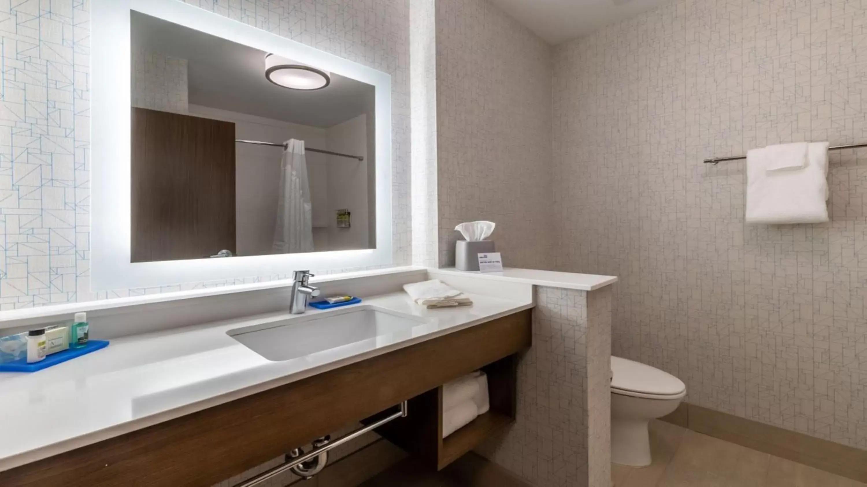 Bathroom in Holiday Inn Express & Suites - Marion, an IHG Hotel