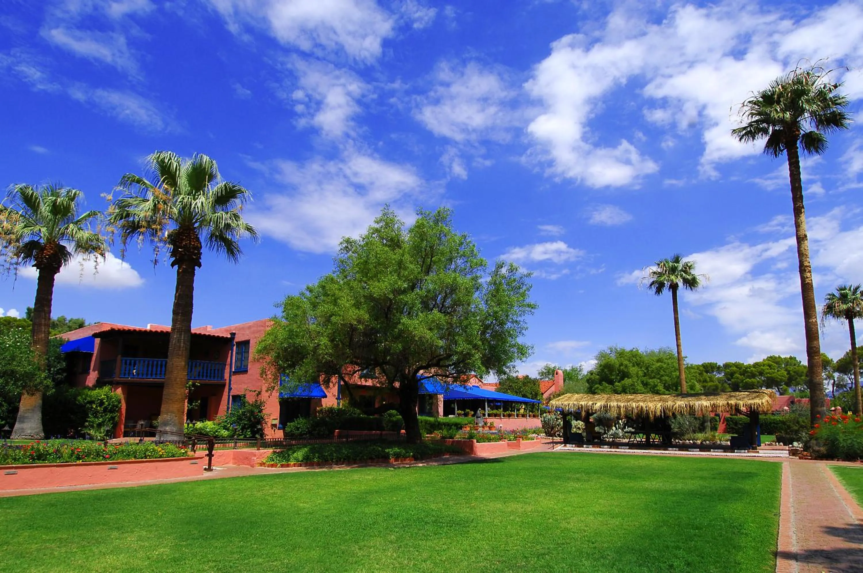 Area and facilities in Arizona Inn
