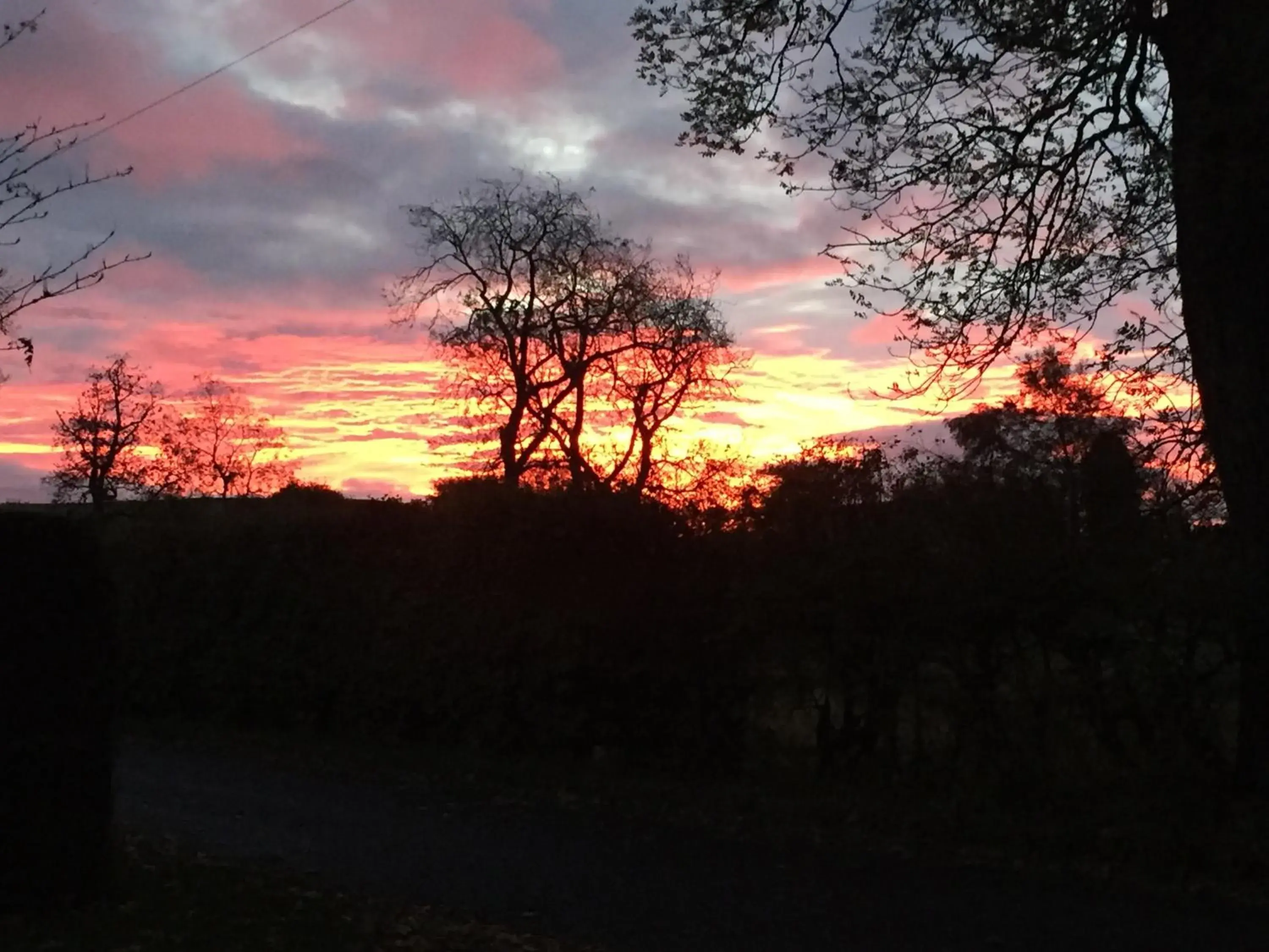 Natural landscape, Sunrise/Sunset in Lodge at Lochside