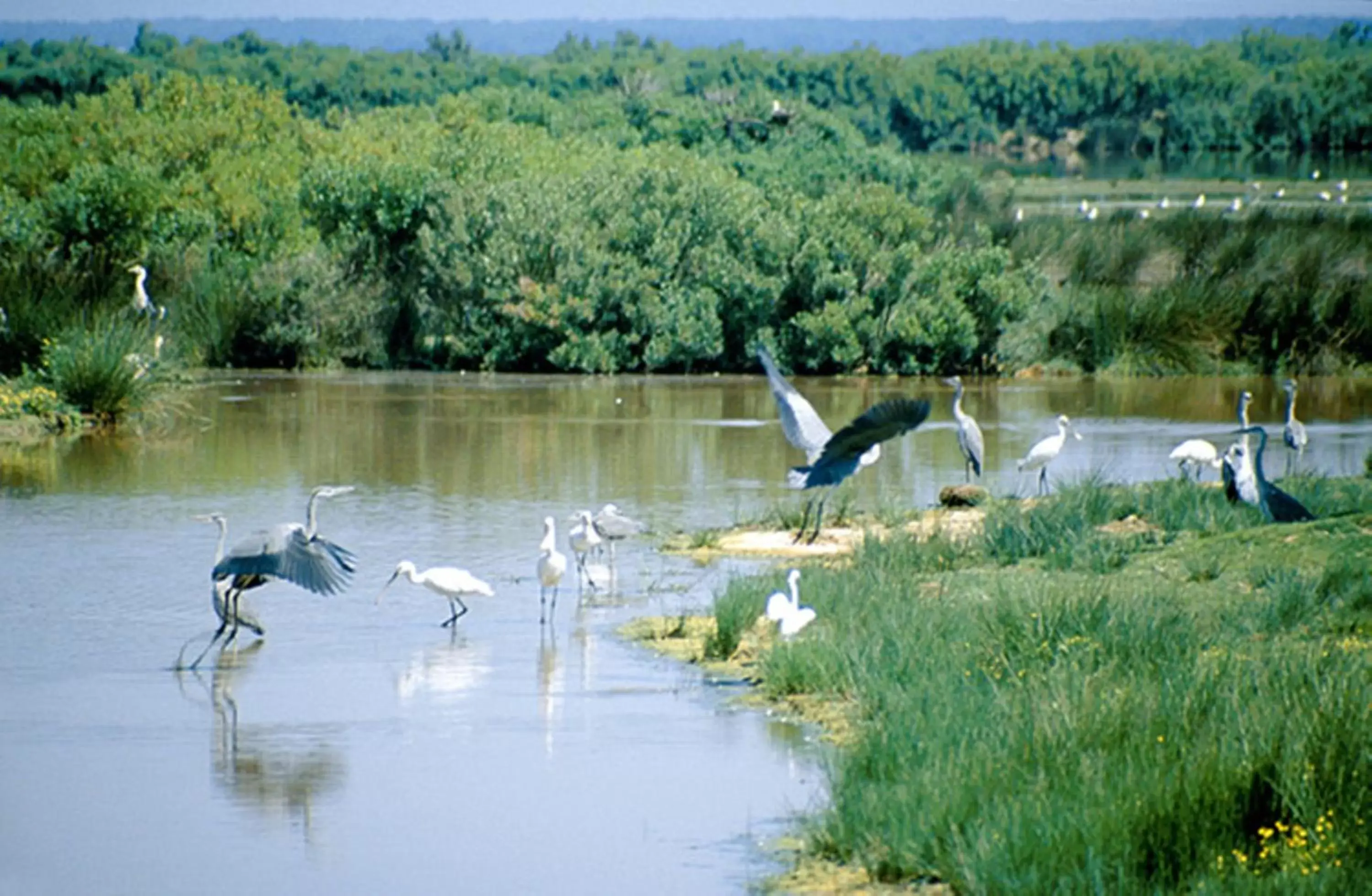 Fitness centre/facilities, Other Animals in Holiday Inn Bordeaux Sud - Pessac, an IHG Hotel