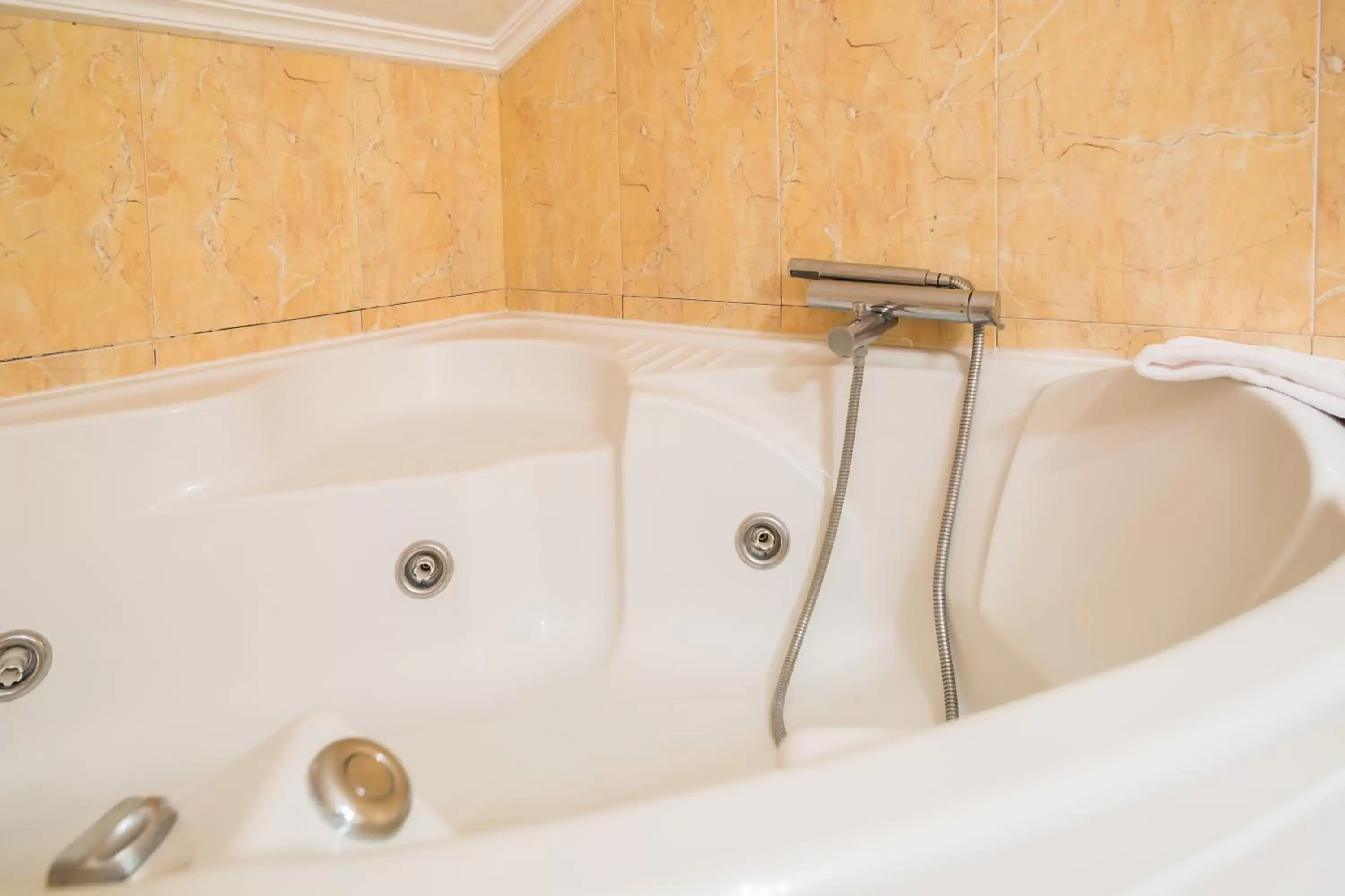 Hot Tub, Bathroom in Hotel Real de Castilla