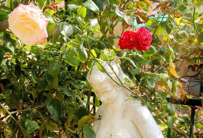 Decorative detail in Hotel Marina