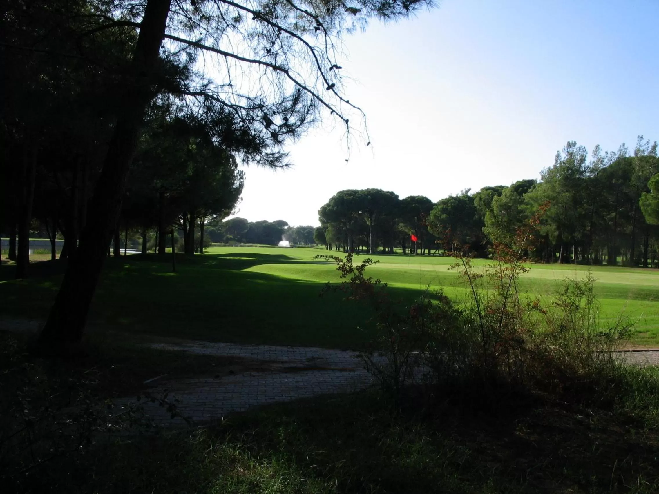 Golfcourse in Waldhotel Riesebusch