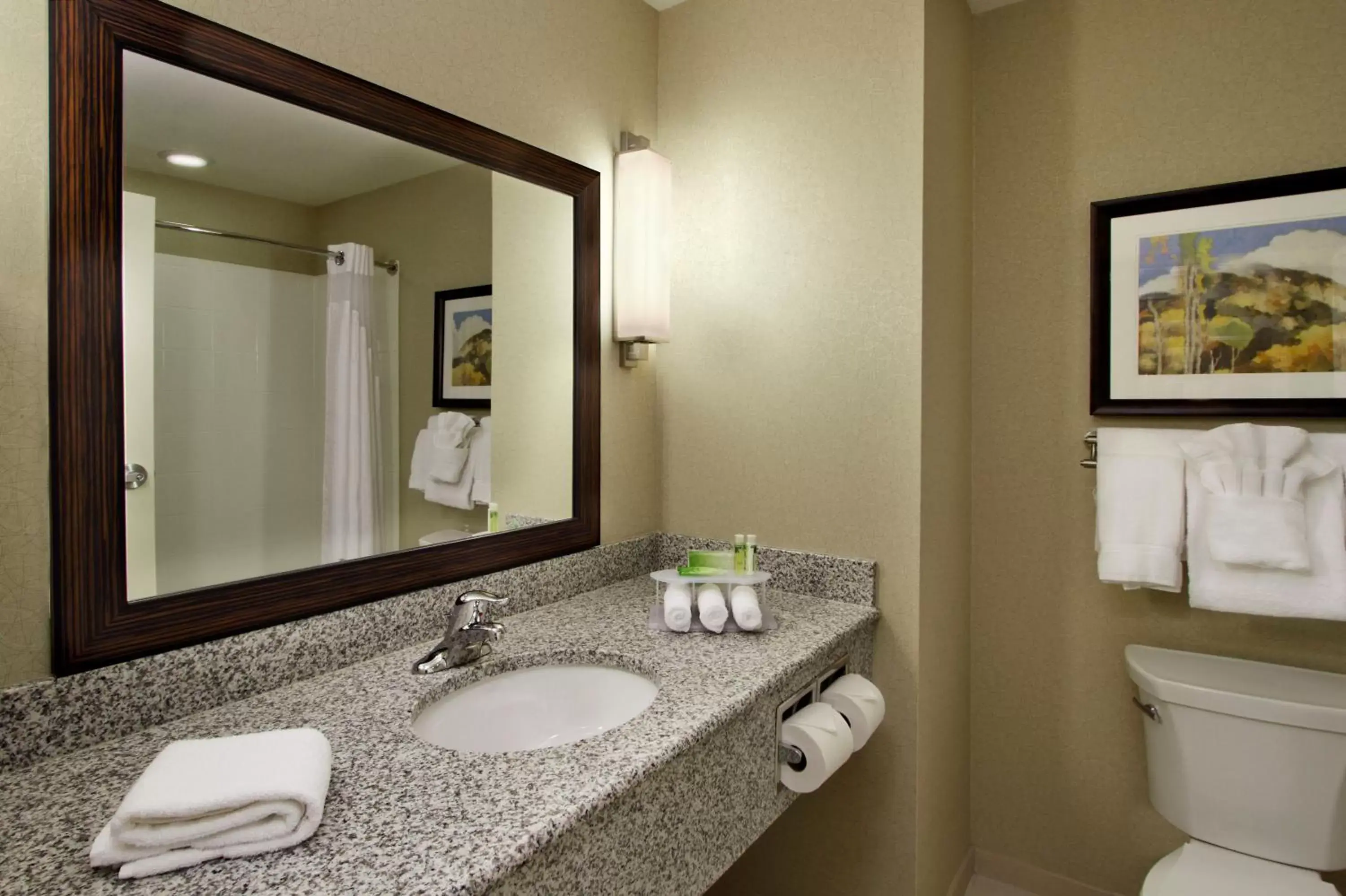 Bathroom in Holiday Inn Express - Colorado Springs - First & Main, an IHG Hotel