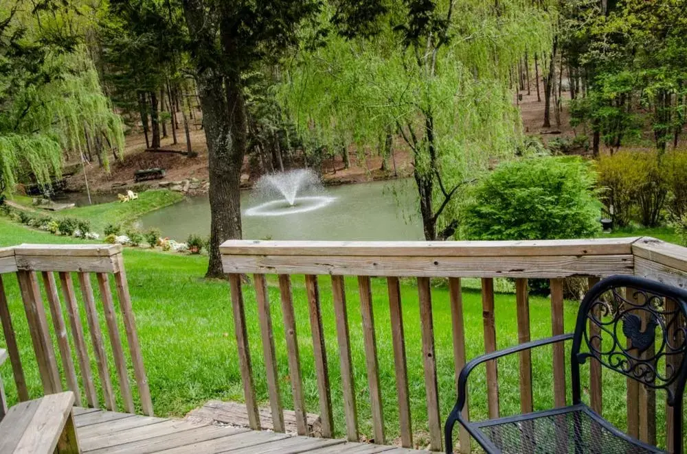 View (from property/room) in Asheville Cabins of Willow Winds