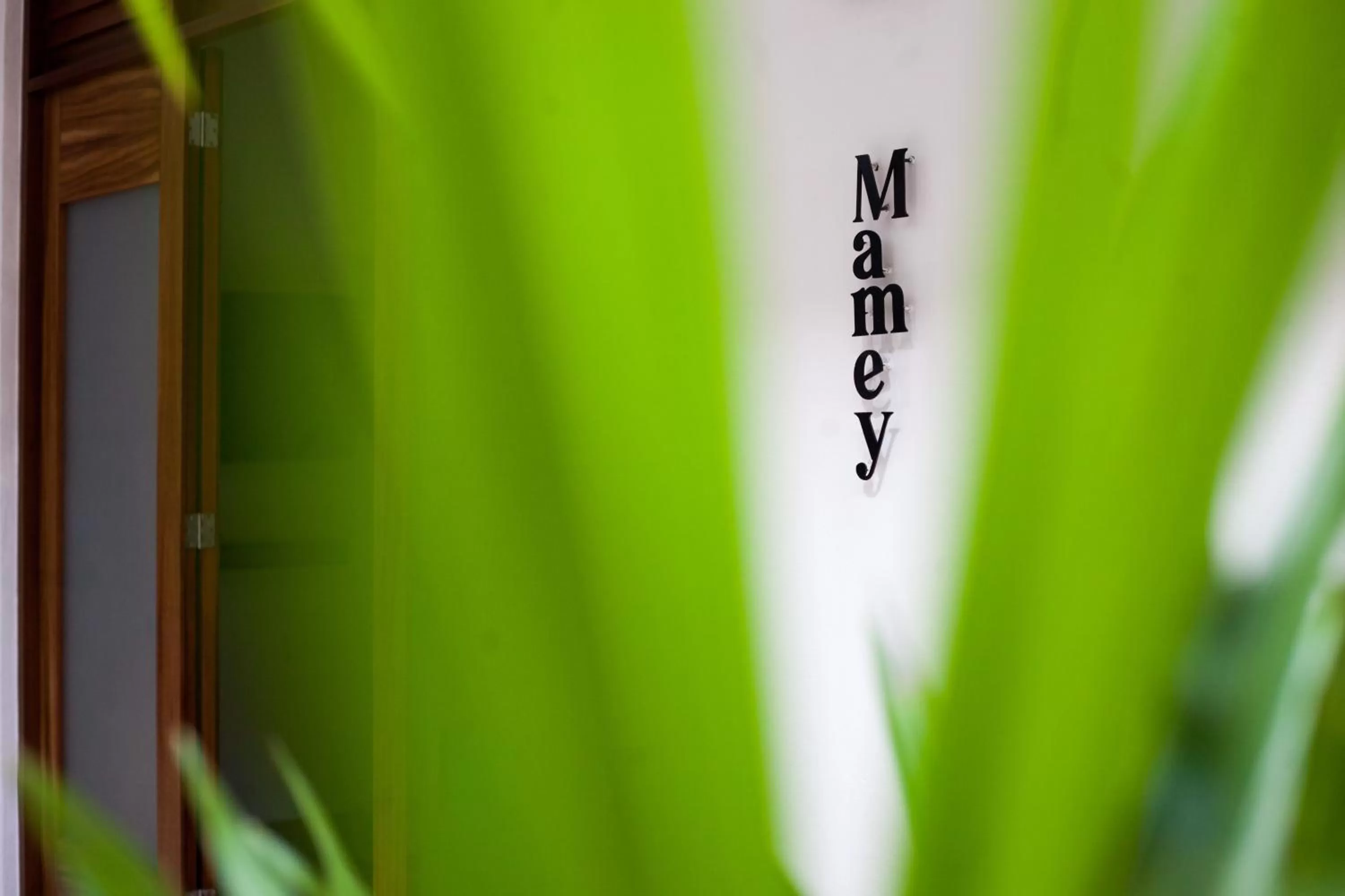 Standard Suite in Latino Hotel Boutique