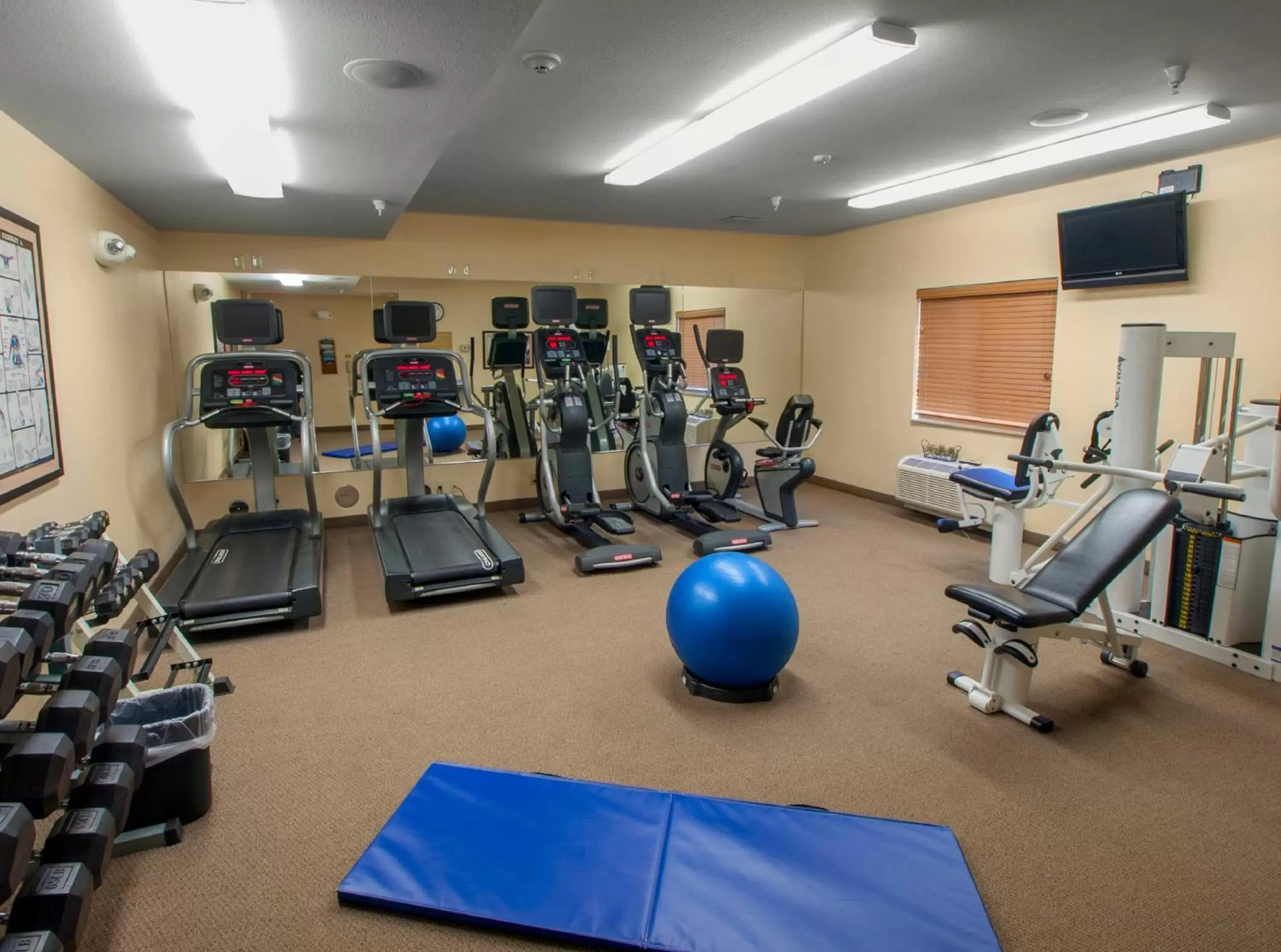 Spa and wellness centre/facilities, Fitness Center/Facilities in Candlewood Suites Buffalo Amherst, an IHG Hotel