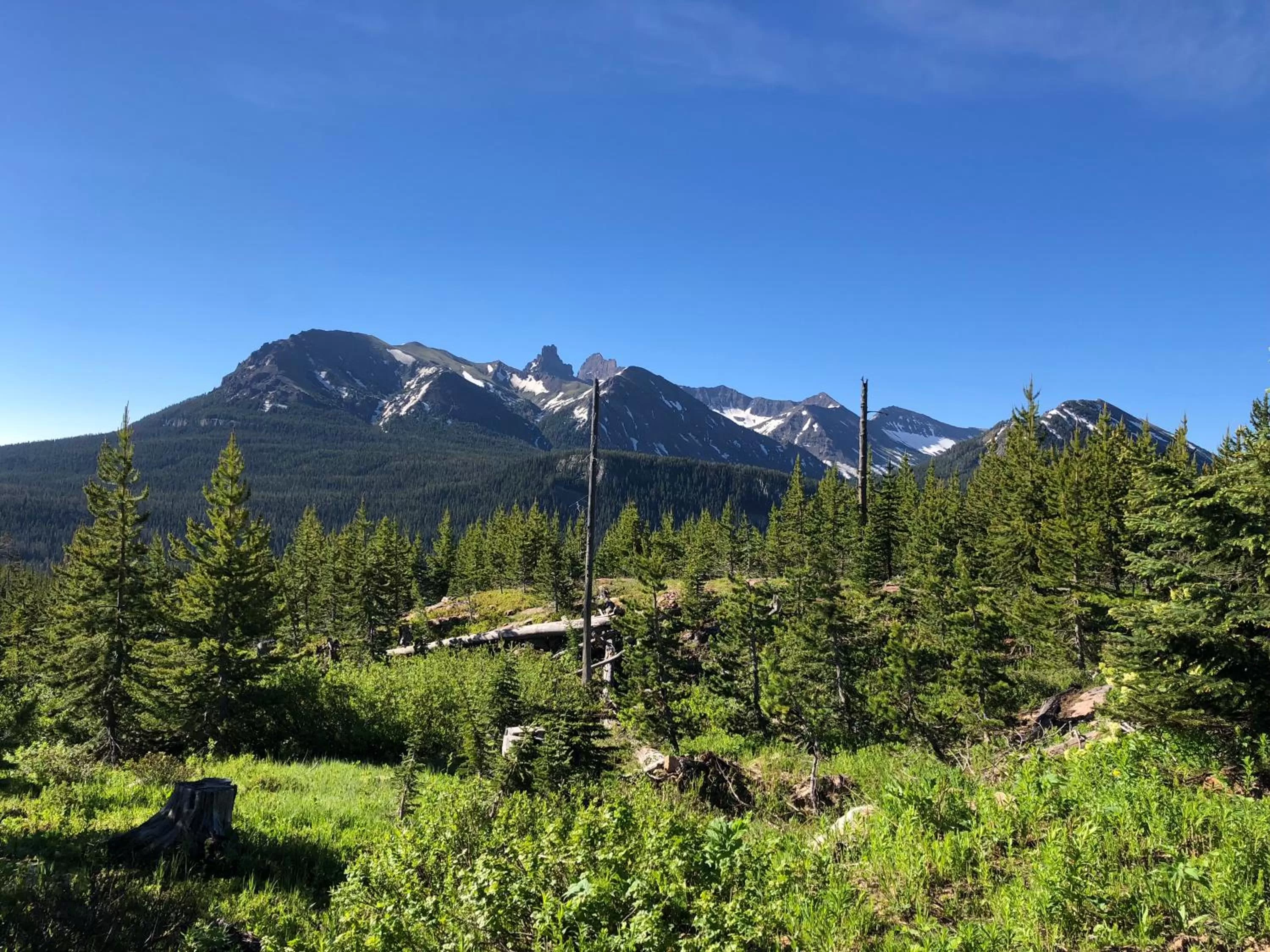 Summer in Antlers Lodge