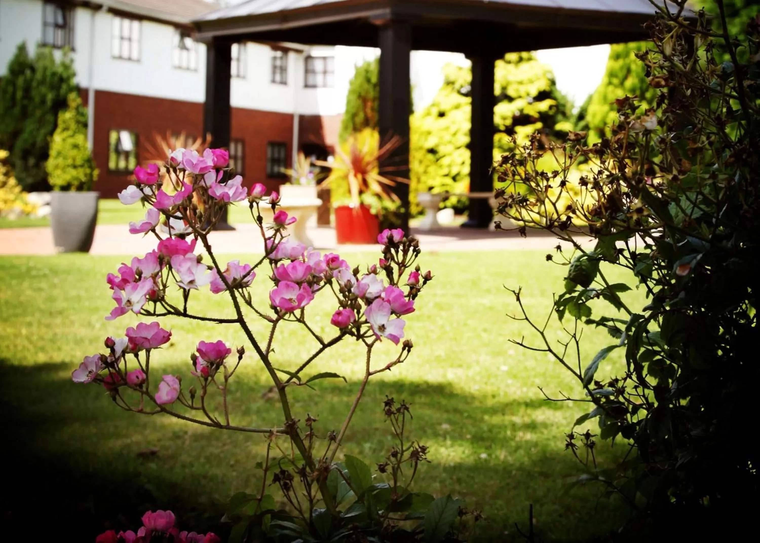 Garden in Beaufort Park Hotel