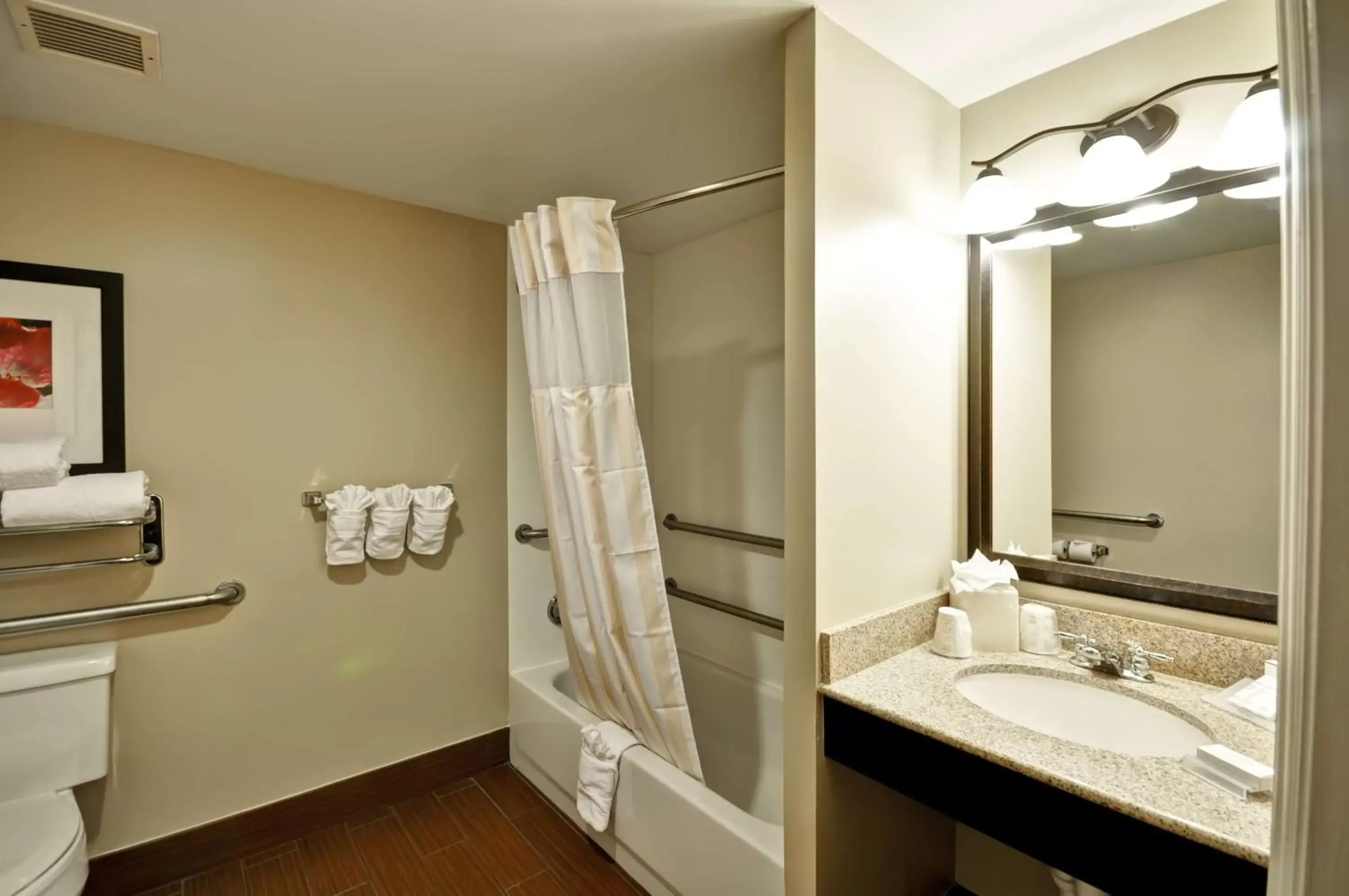 Bathroom in Hilton Garden Inn Tampa North
