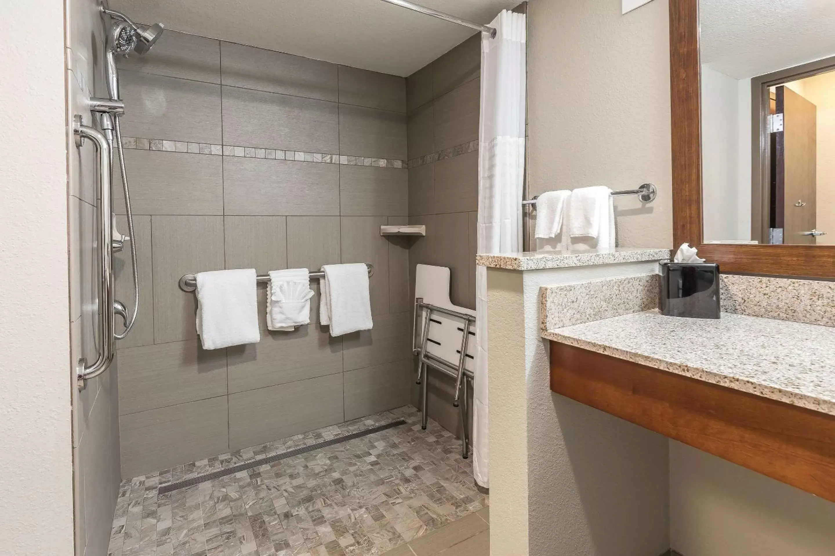 Photo of the whole room, Bathroom in Comfort Inn Bay City - Riverfront